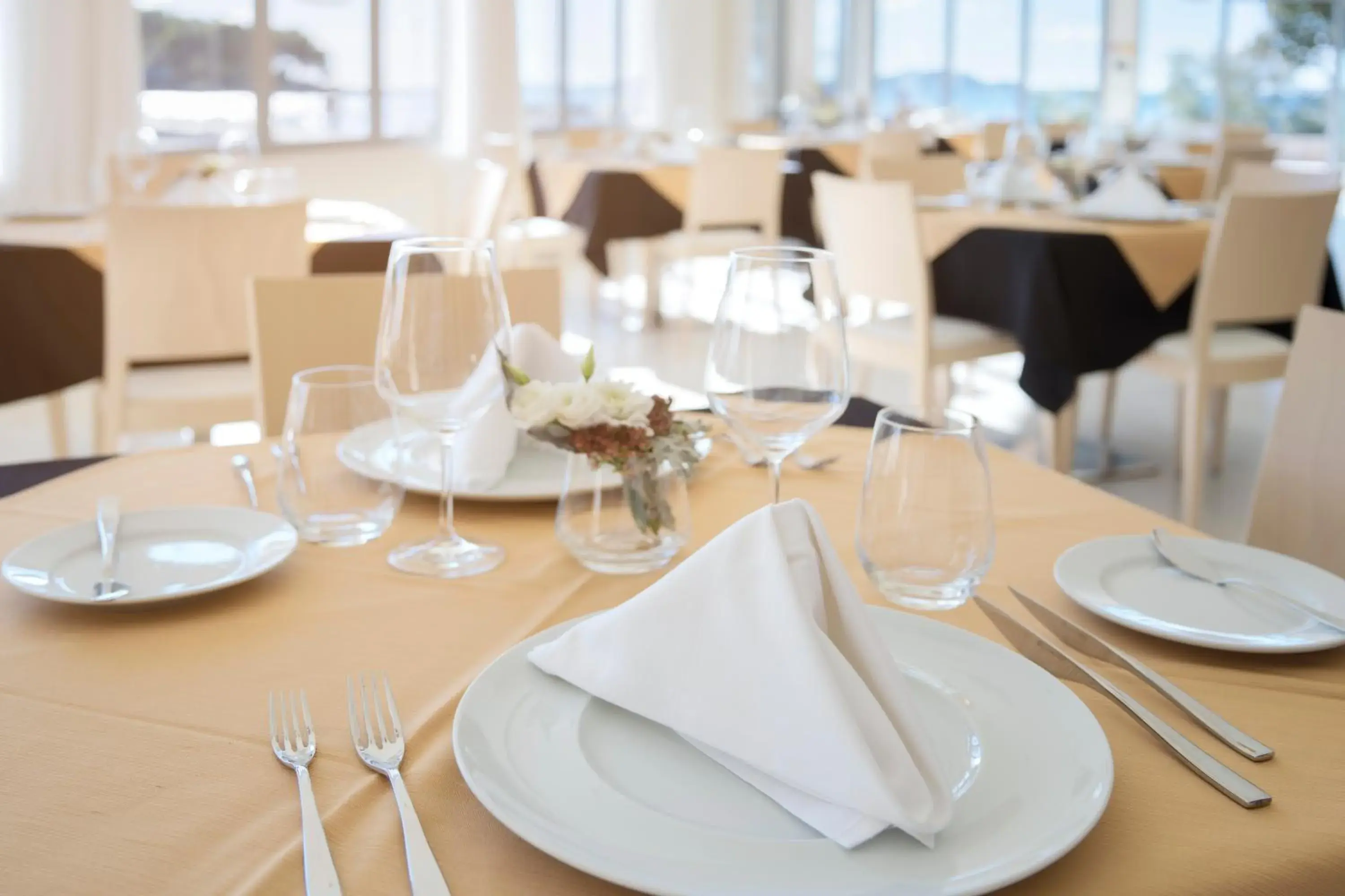 Restaurant/places to eat in Crvena Luka Resort Restaurant/places to eat in Crvena Luka Resort