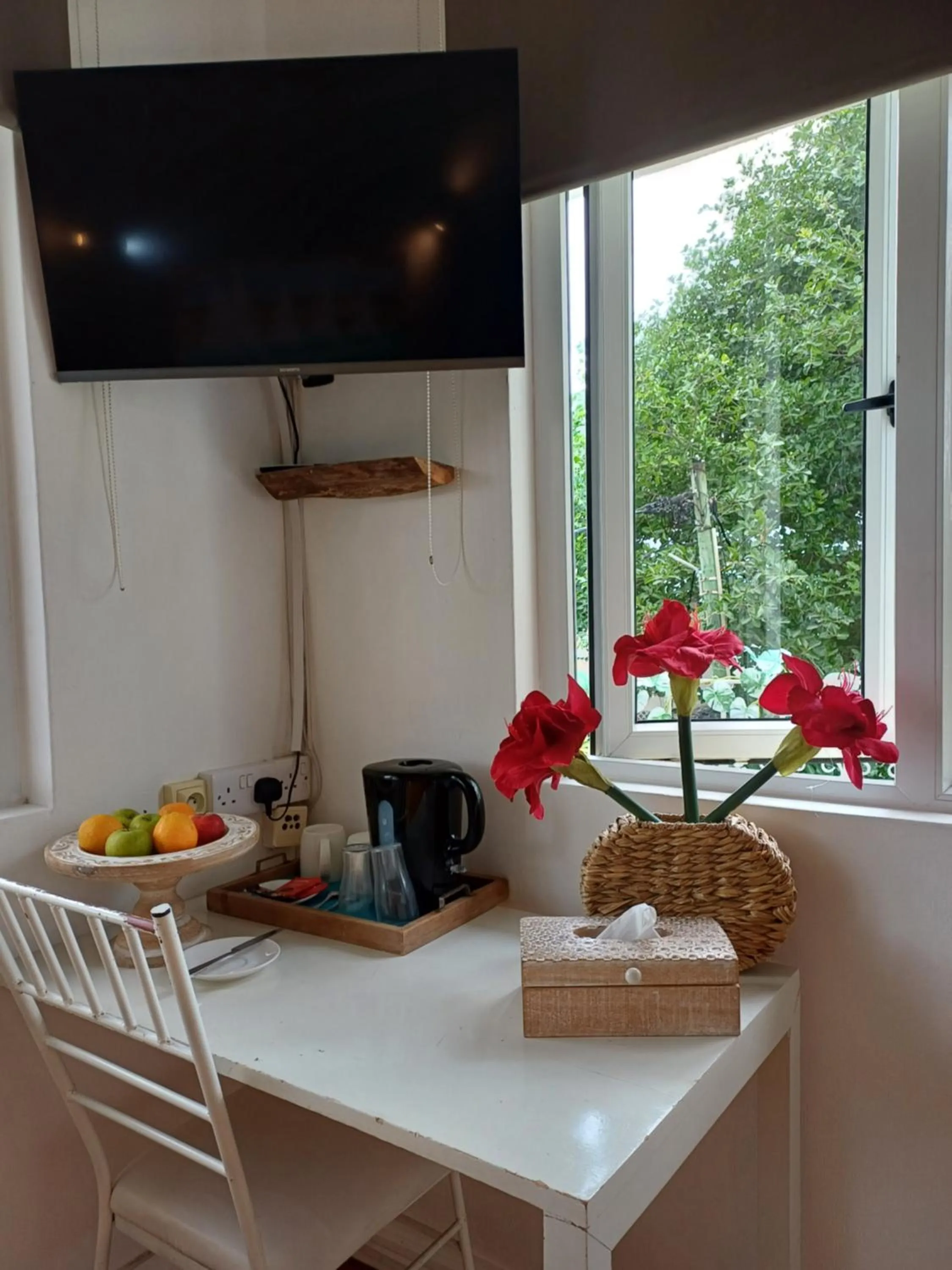 TV and multimedia in Explora Prestige