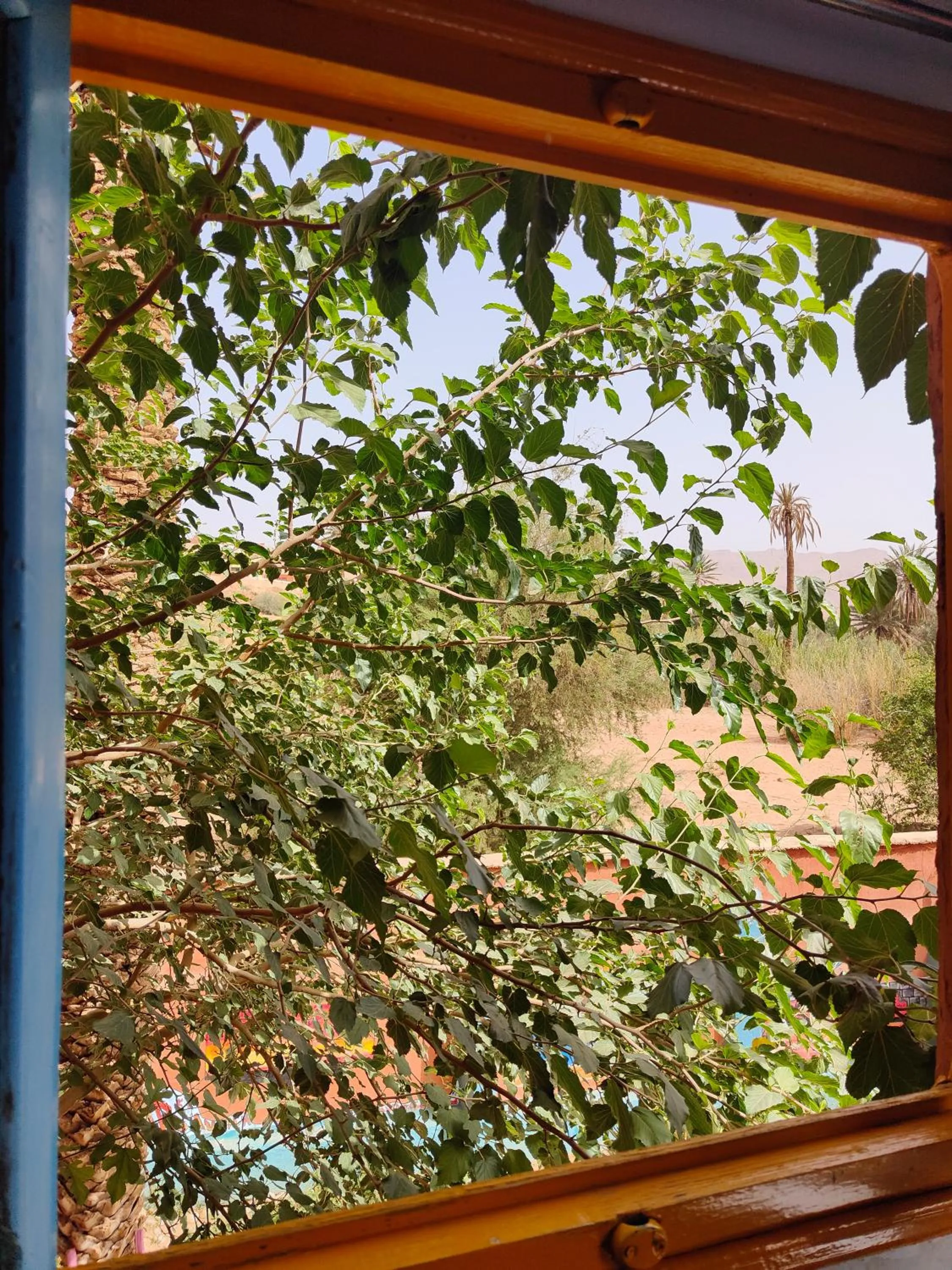 Garden view in Le Retour au calme Maison d'hôtes
