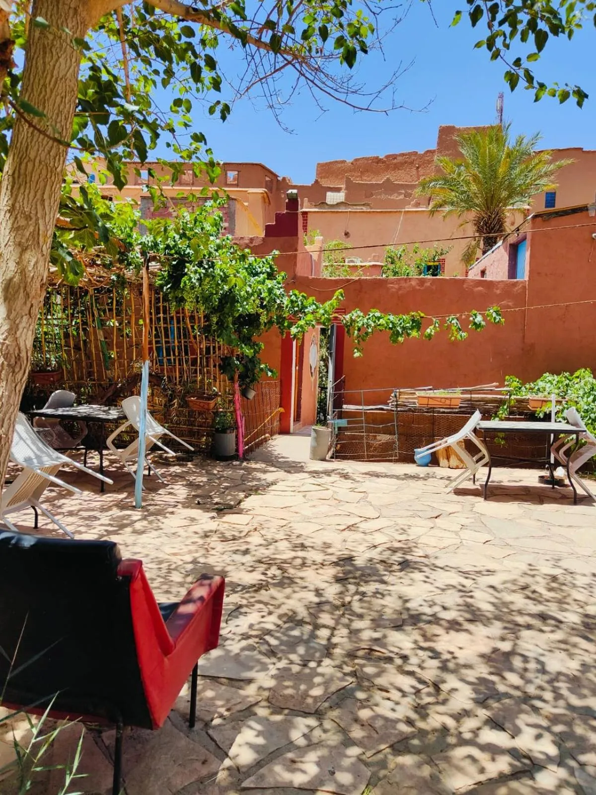 Garden in Le Retour au calme Maison d'hôtes