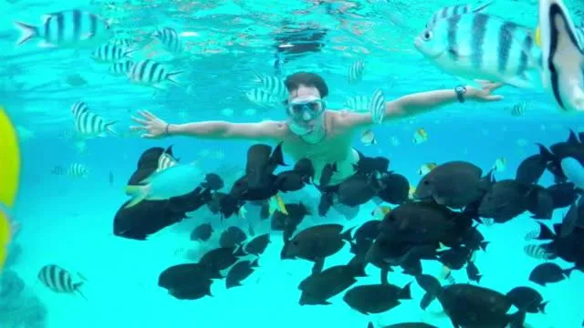 Snorkeling in Villas Vetiver