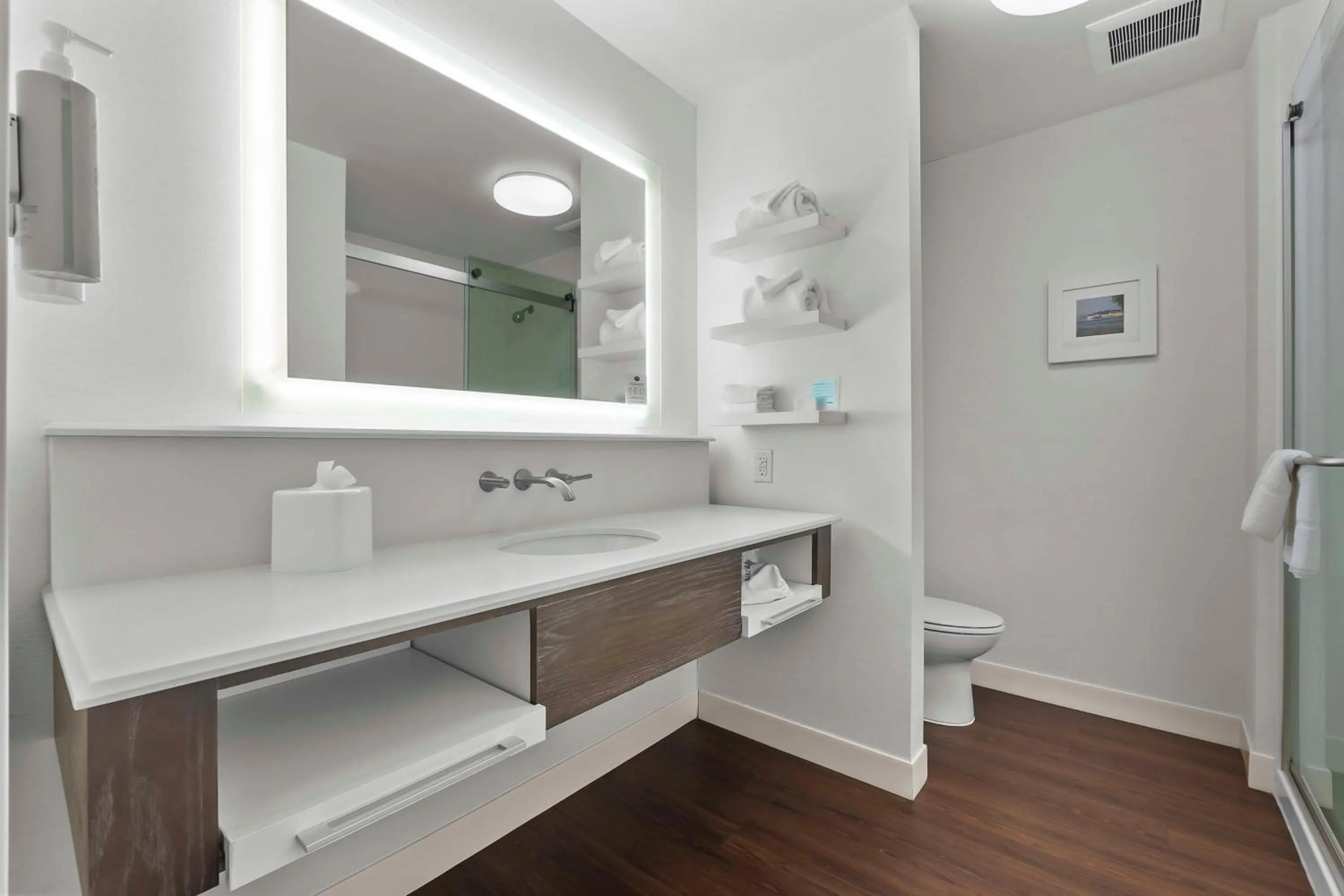 Bathroom in Hampton Inn Cape Girardeau I-55 East, MO