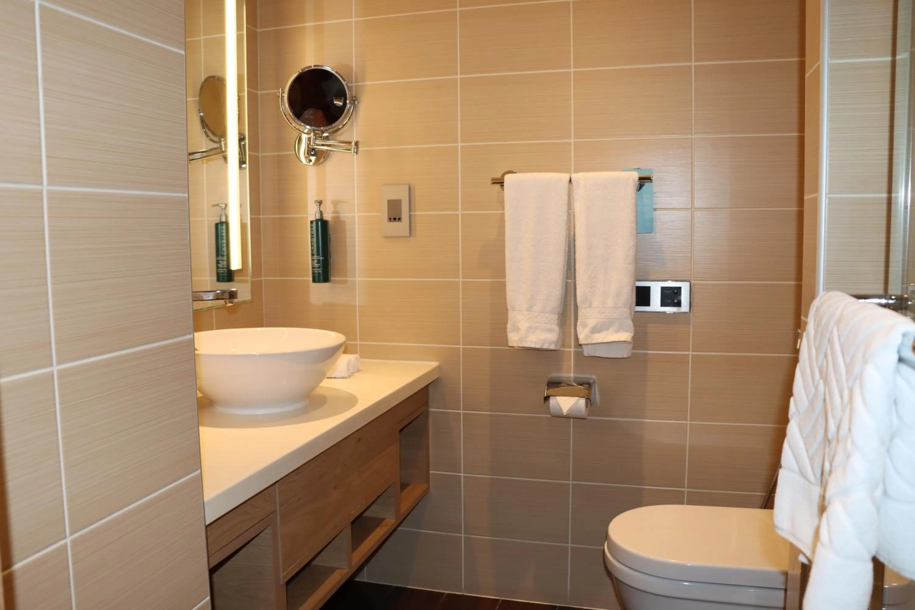 Toilet in Hilton Garden Inn Dubai, Mall Avenue