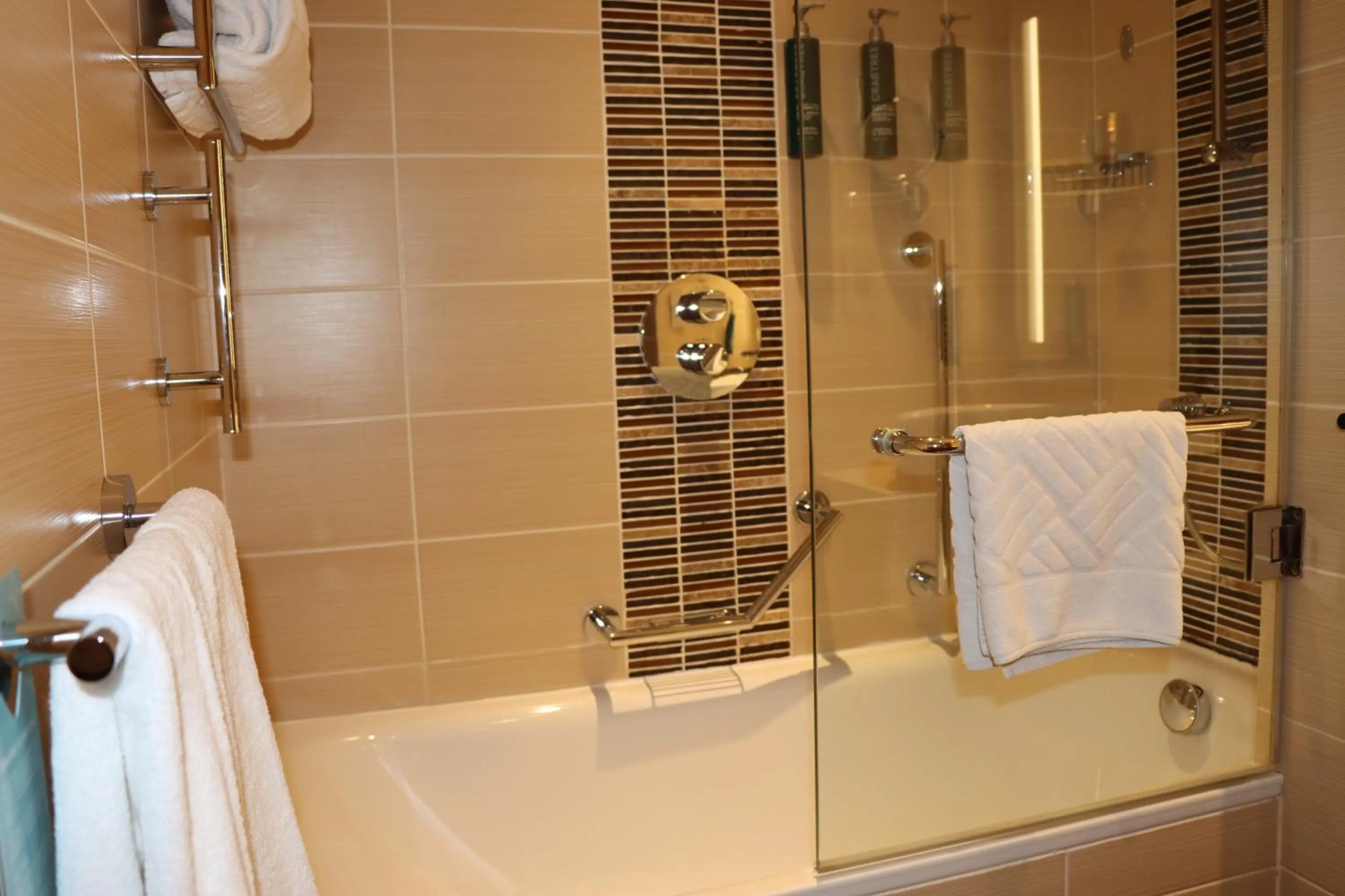 Twin Room in Hilton Garden Inn Dubai, Mall Avenue