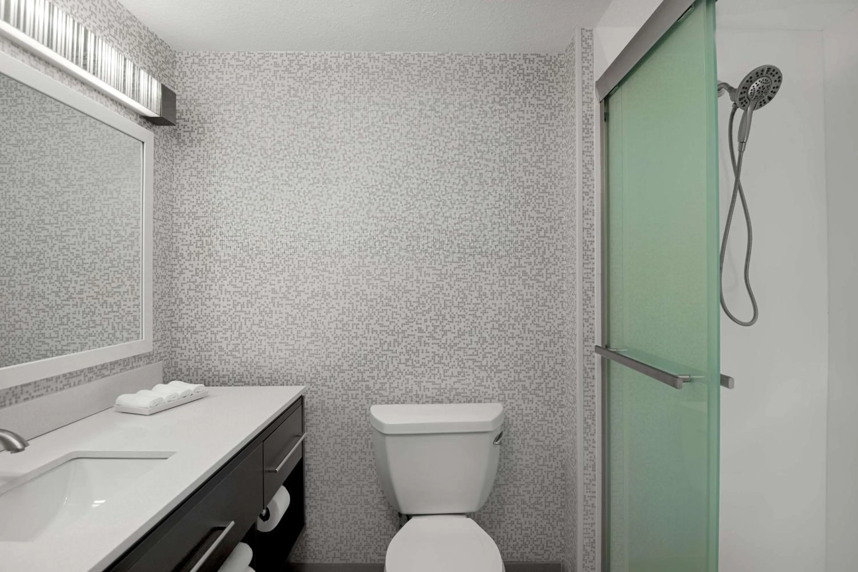 Bathroom in Home2 Suites By Hilton Gainesville