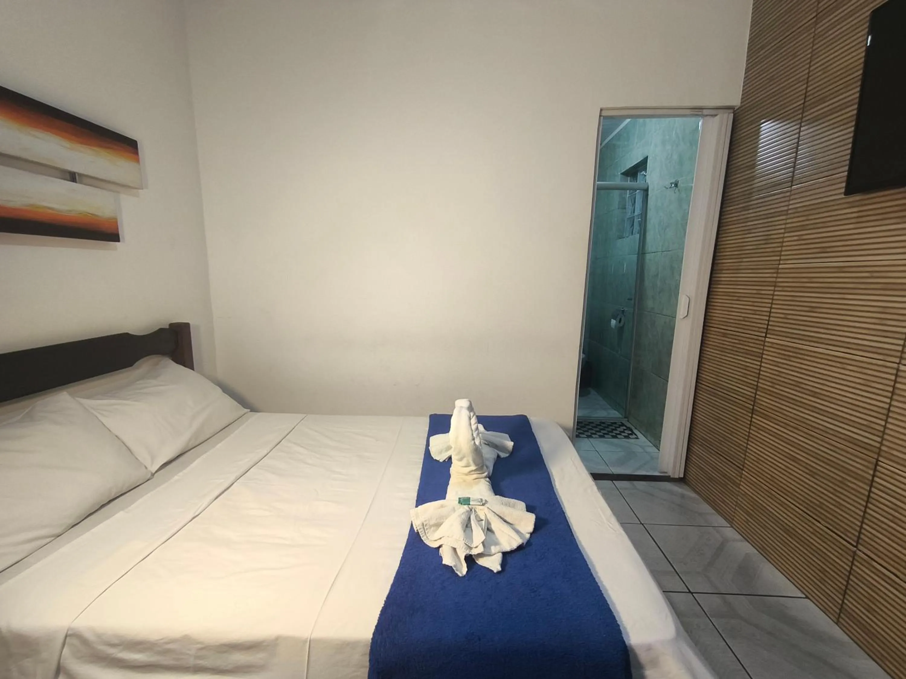 Suite - single occupancy in Hotel Villa Real