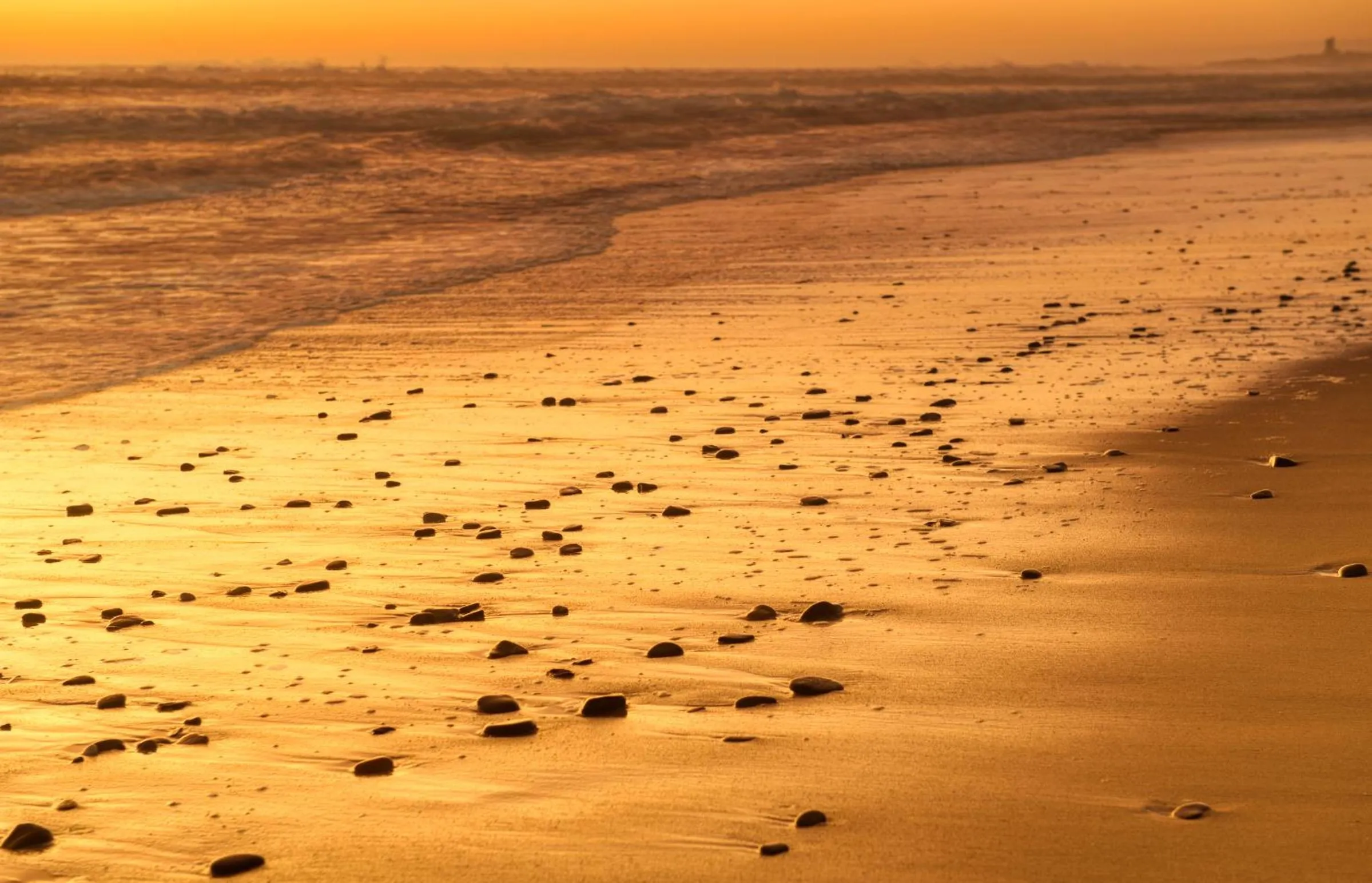 Natural landscape in Atlantic Palms