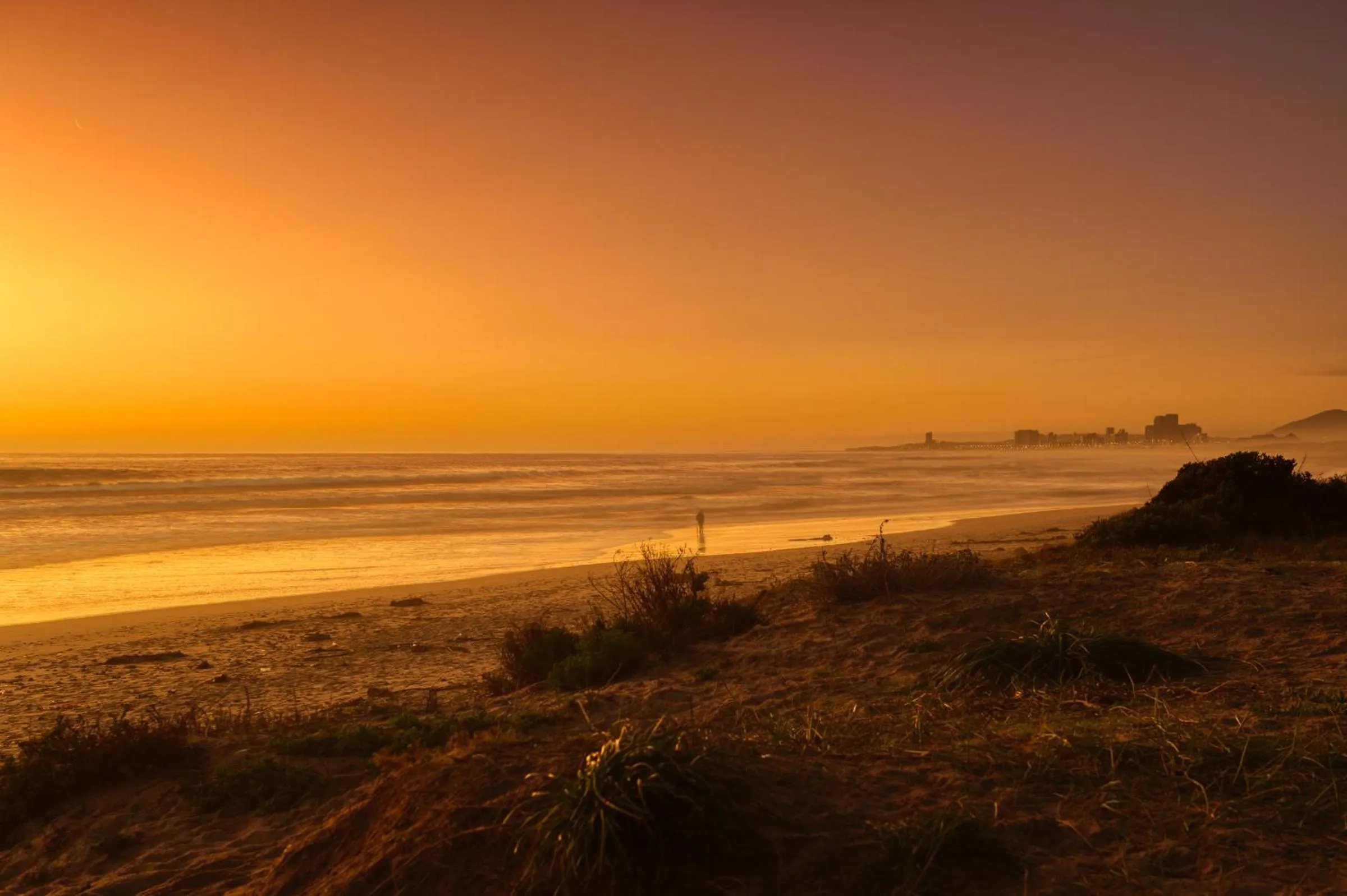 Natural landscape in Atlantic Palms