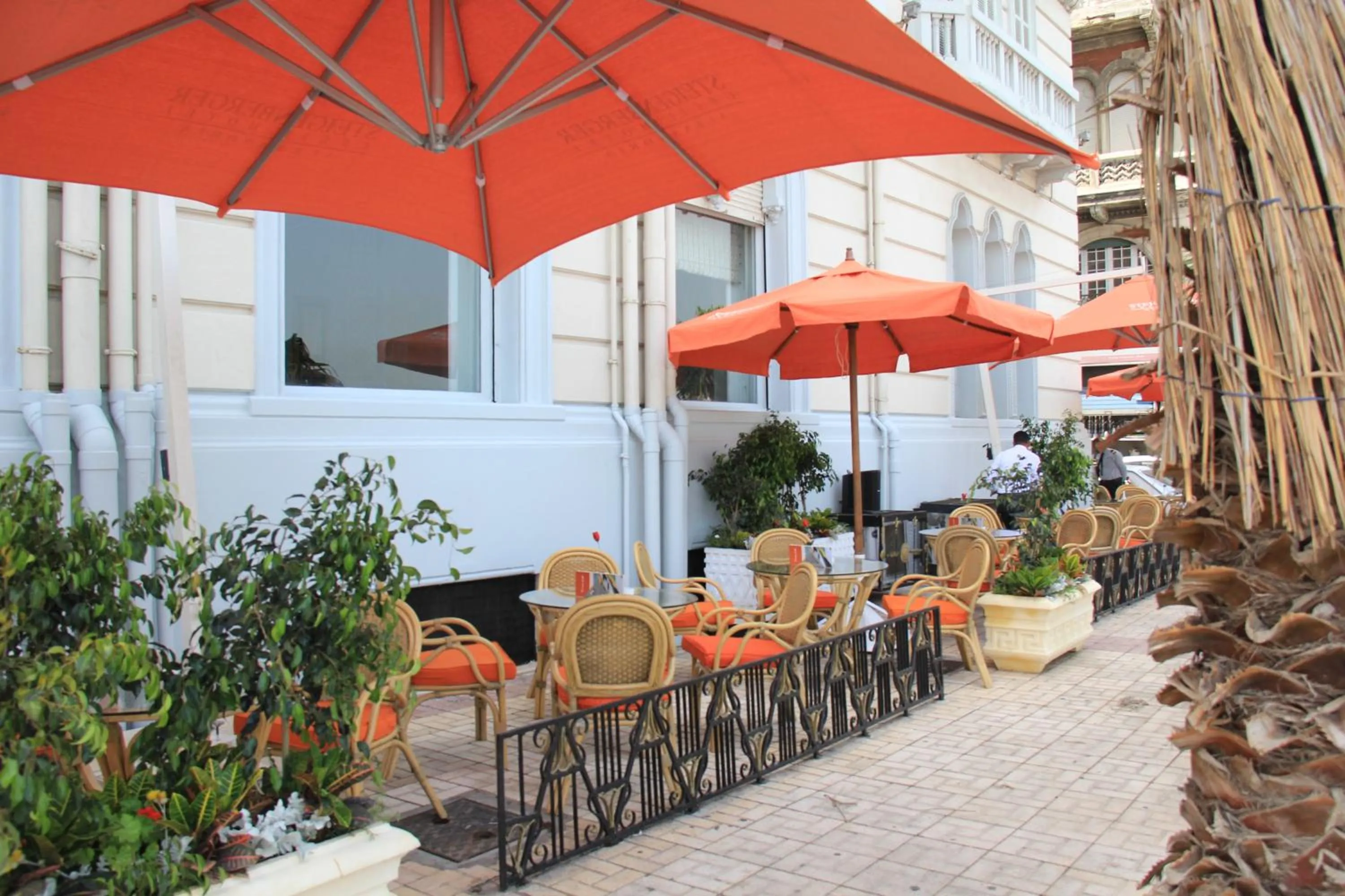Balcony/Terrace in Steigenberger Cecil Hotel Alexandria