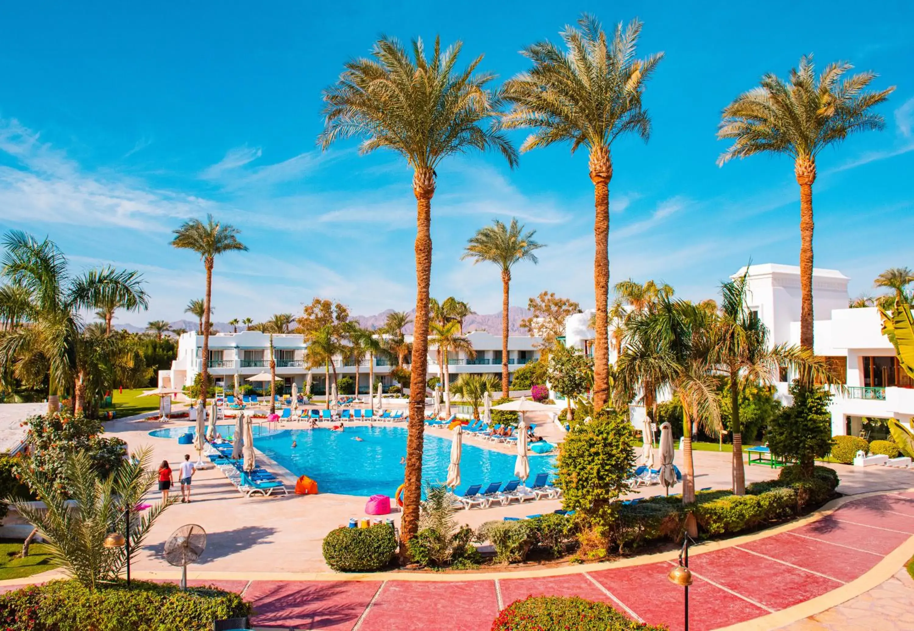 Swimming Pool in Hotel Novotel Sharm El-Sheikh