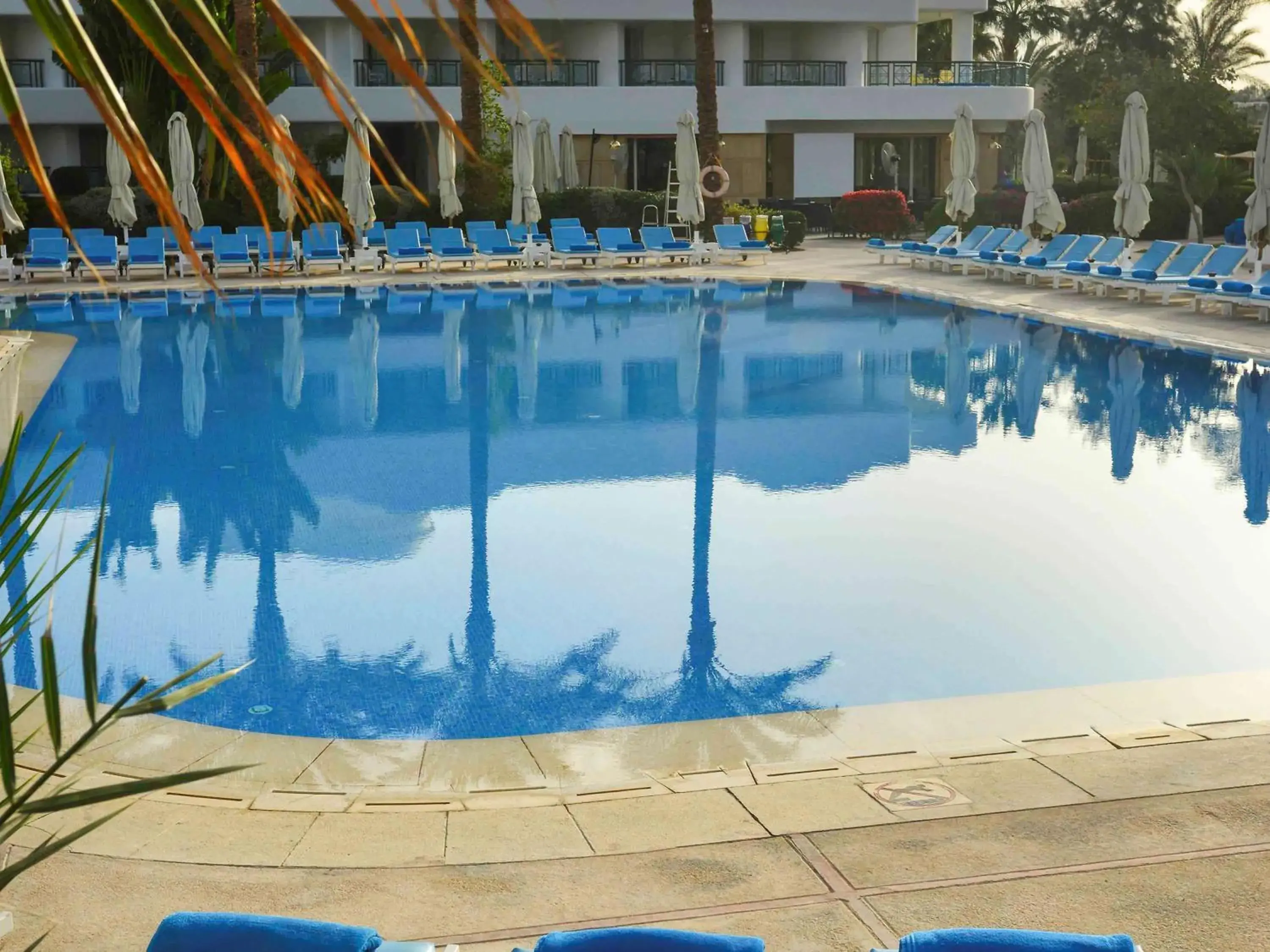 On site, Swimming Pool in Hotel Novotel Sharm El-Sheikh