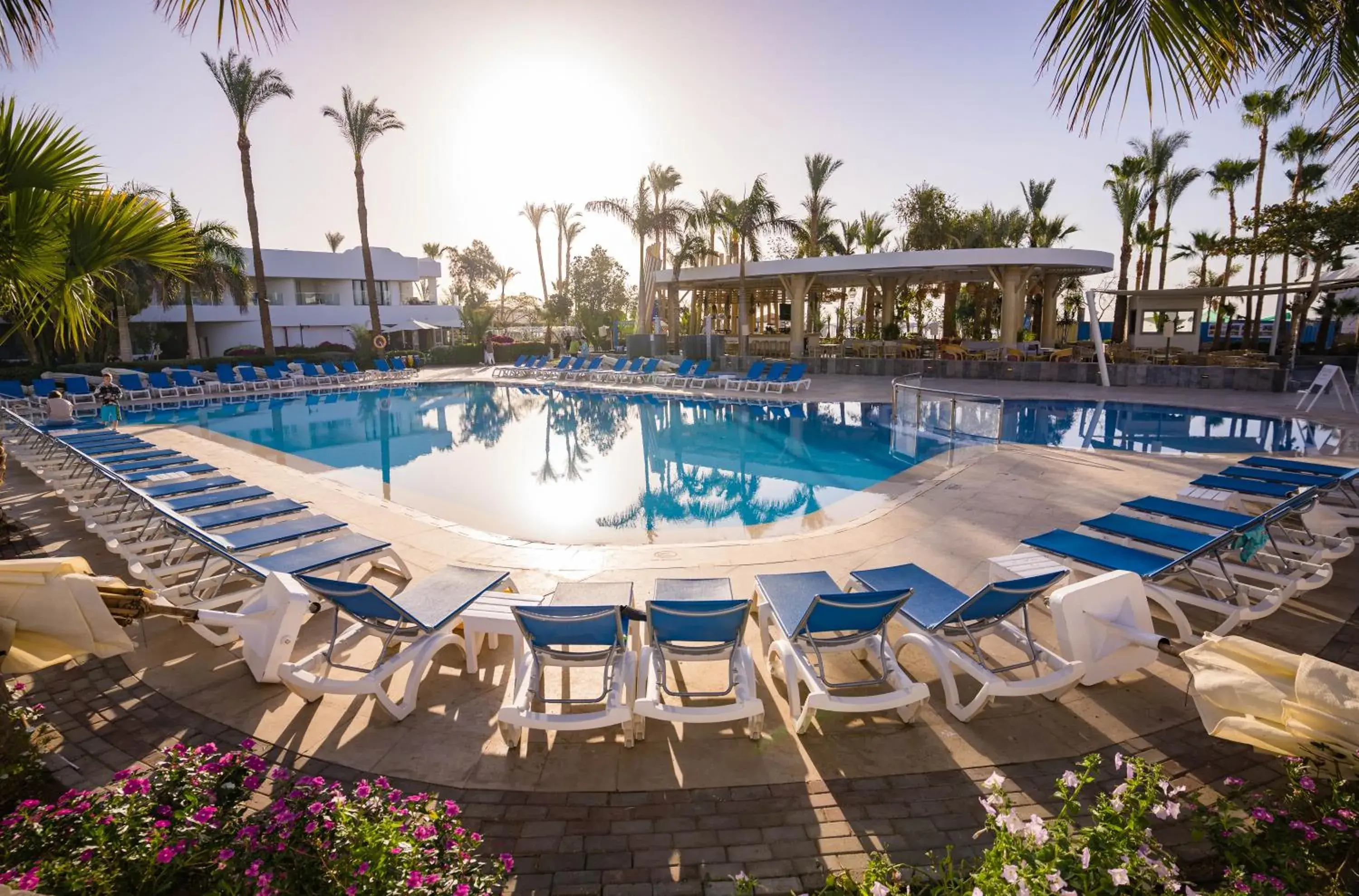 Lounge or bar, Swimming Pool in Hotel Novotel Sharm El-Sheikh