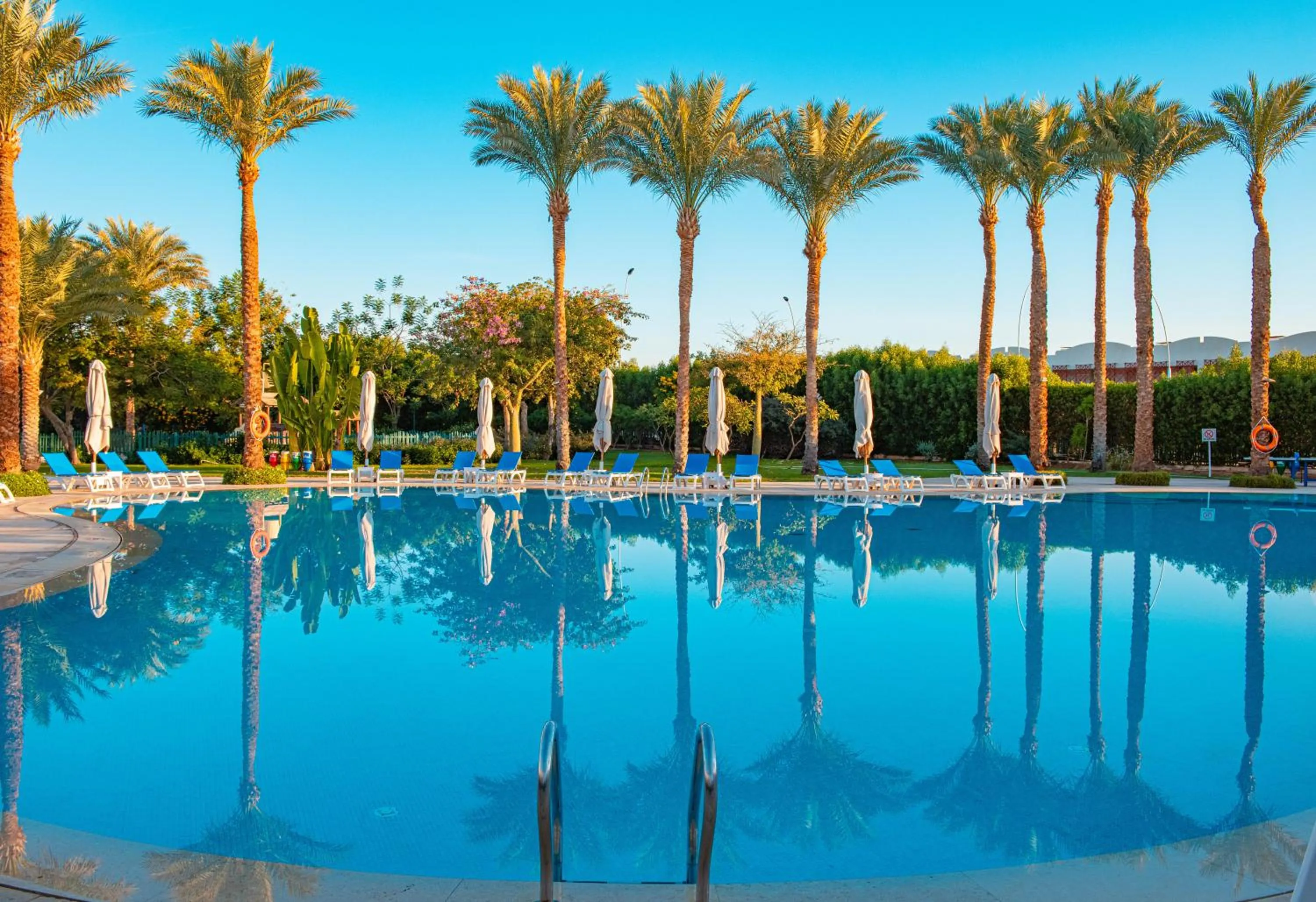 Swimming pool in Hotel Novotel Sharm El-Sheikh