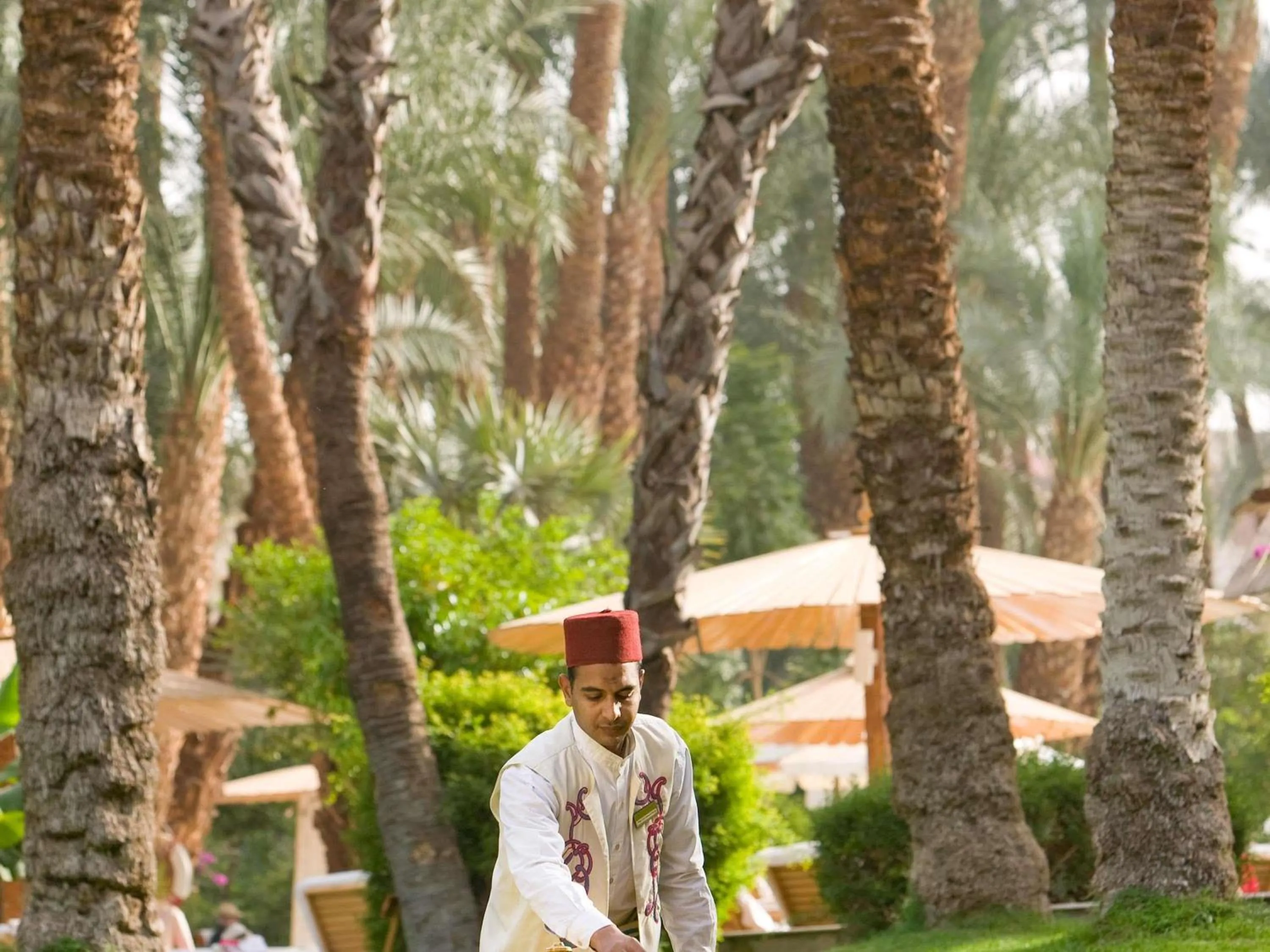 Restaurant/places to eat in Pavillon Winter Luxor