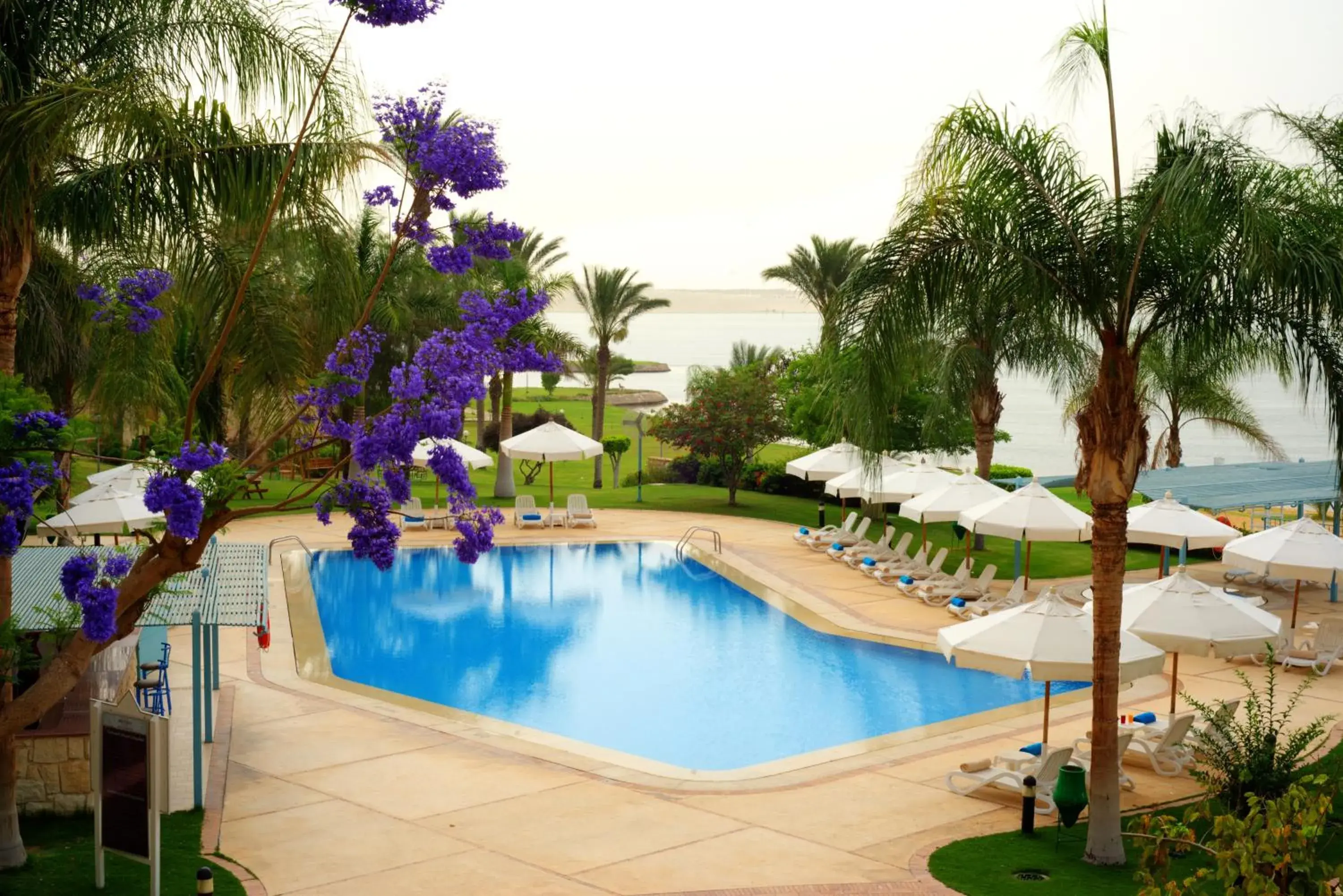 Pool view in Mercure Ismailia Forsan Island Pool view in Mercure Ismailia Forsan Island