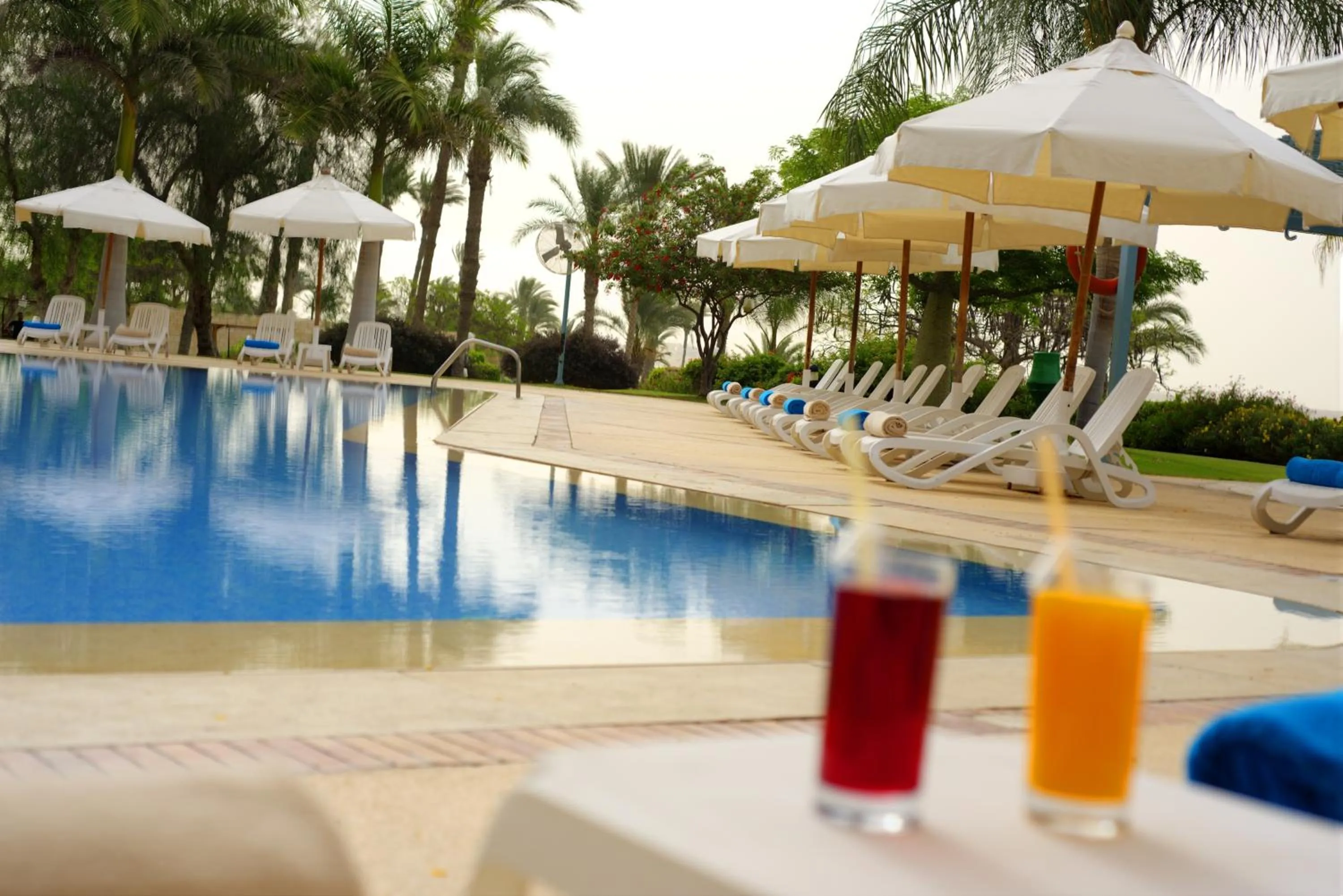 Swimming pool in Mercure Ismailia Forsan Island