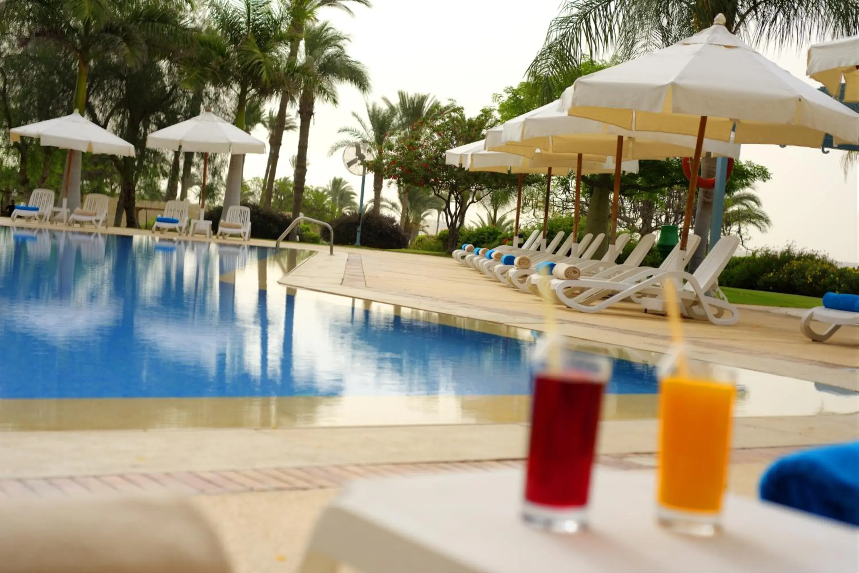 Swimming pool in Mercure Ismailia Forsan Island Swimming pool in Mercure Ismailia Forsan Island