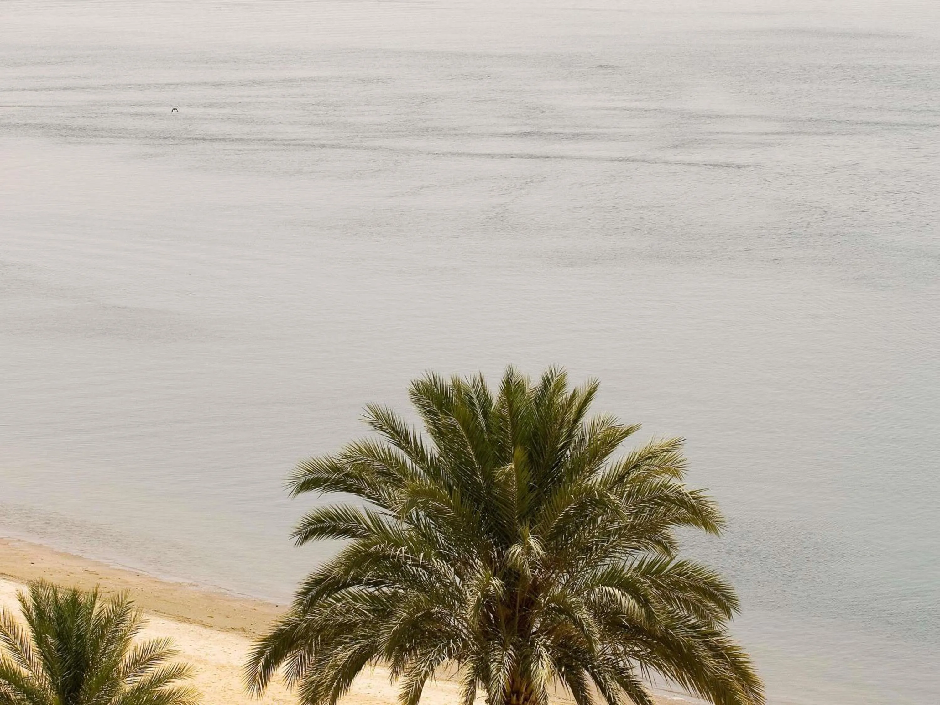 Other in Mercure Ismailia Forsan Island