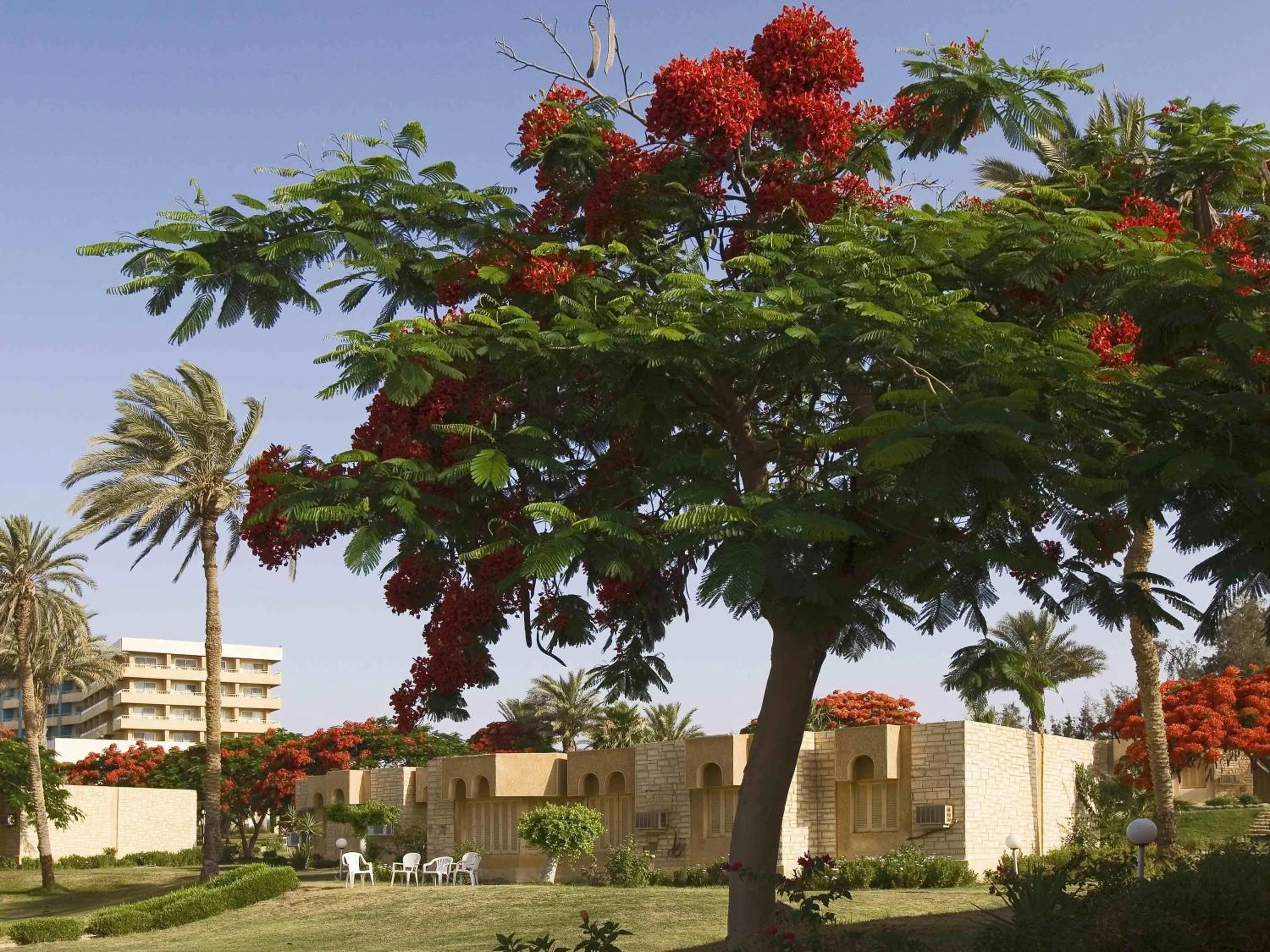 Bedroom in Mercure Ismailia Forsan Island