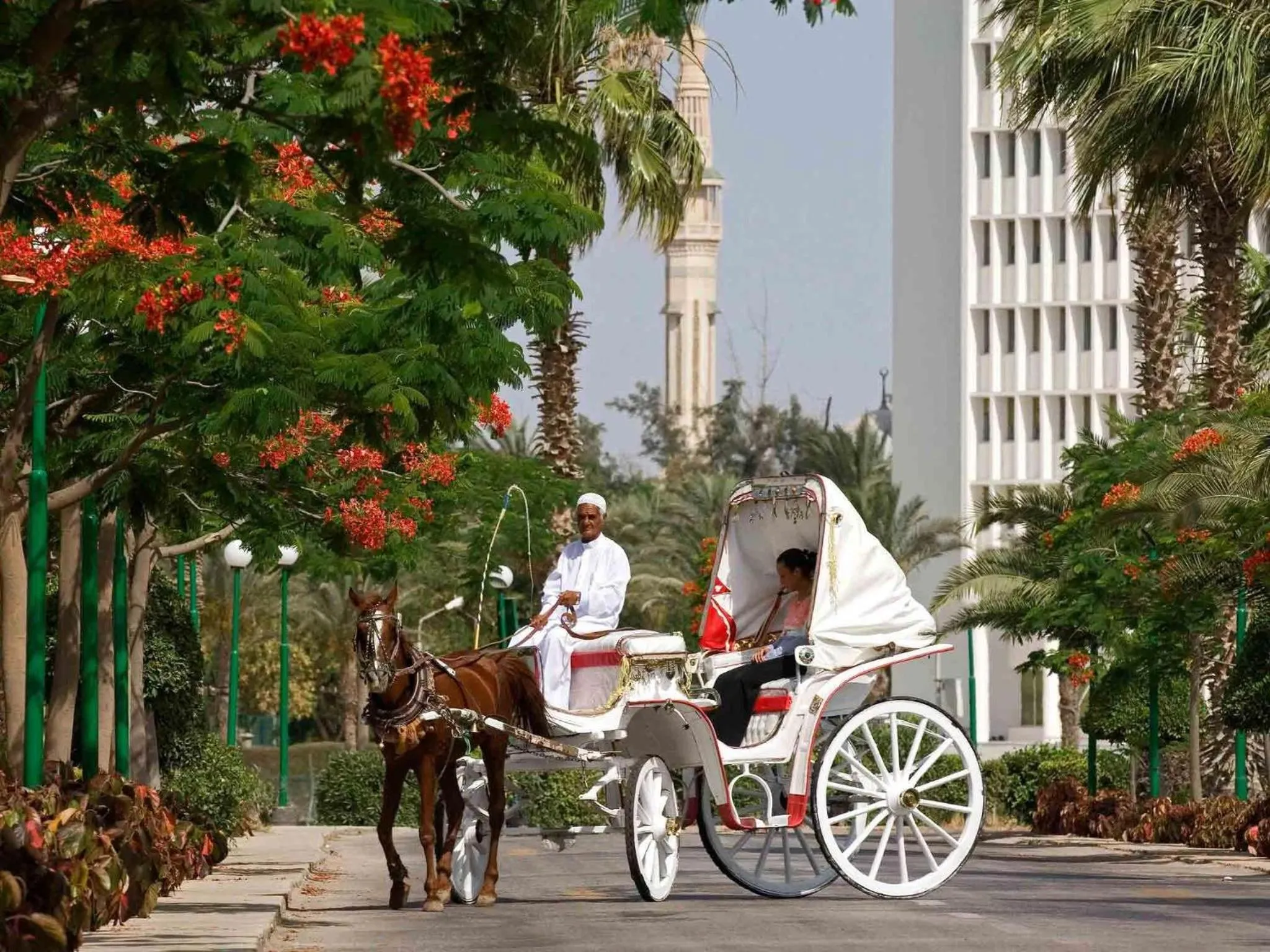 Other in Mercure Ismailia Forsan Island