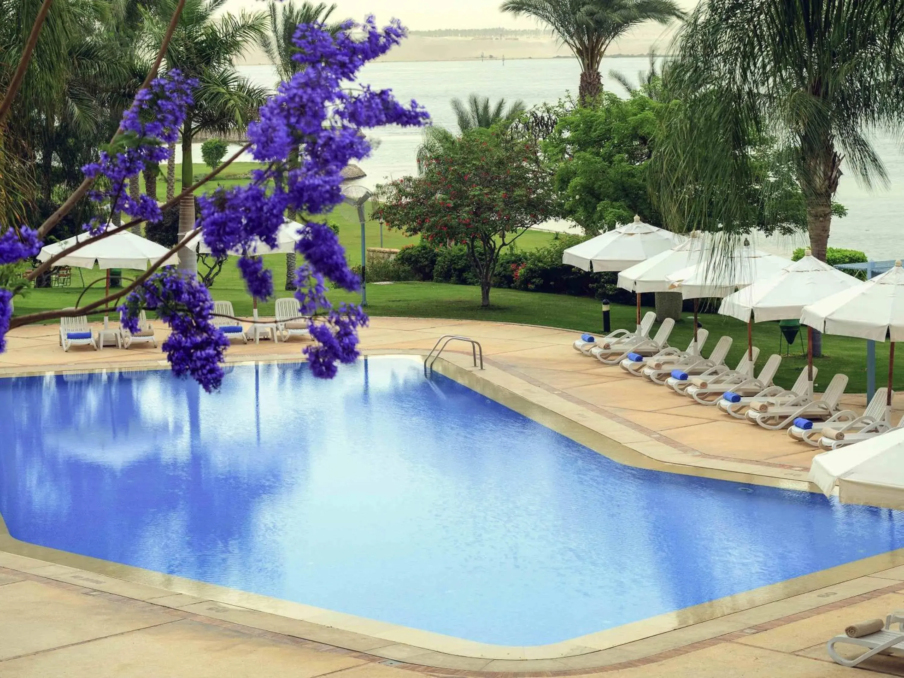 Pool view in Mercure Ismailia Forsan Island Pool view in Mercure Ismailia Forsan Island