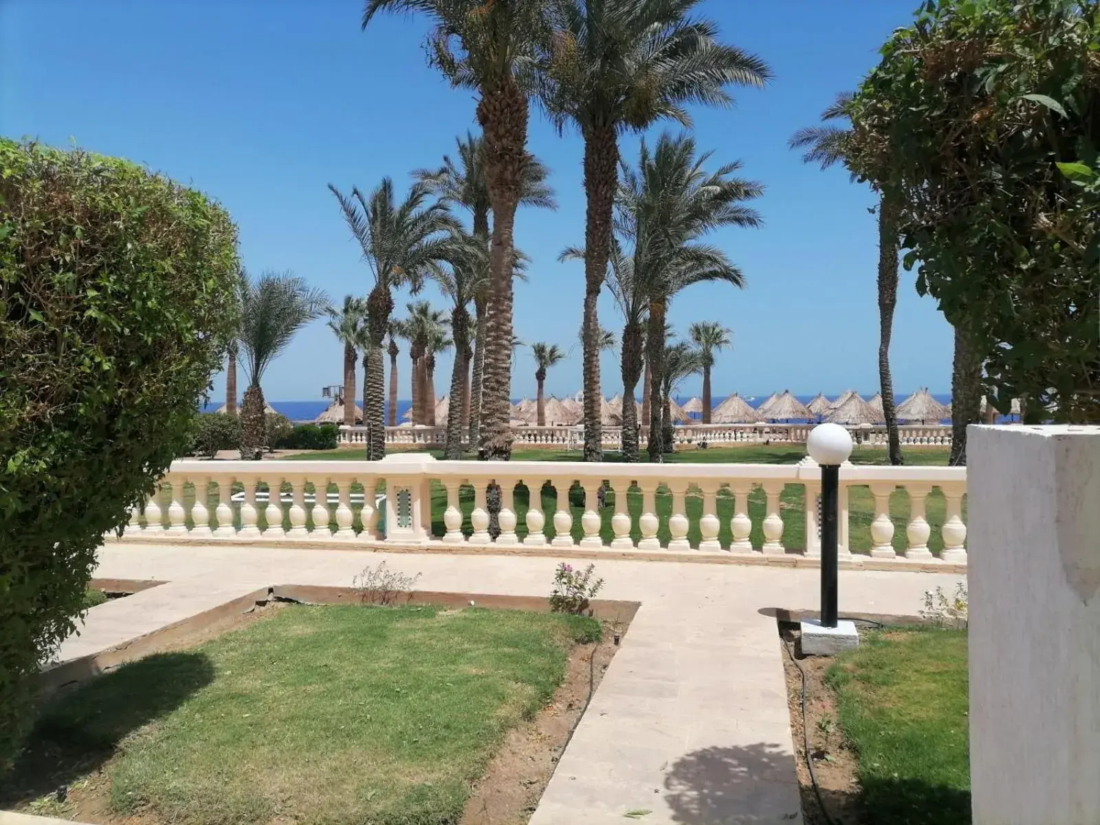 Garden Room, Guest room, King, Garden view, Main Building in Sheraton Sharm Hotel, Resort, Villas & Spa Garden Room, Guest room, King, Garden view, Main Building in Sheraton Sharm Hotel, Resort, Villas & Spa