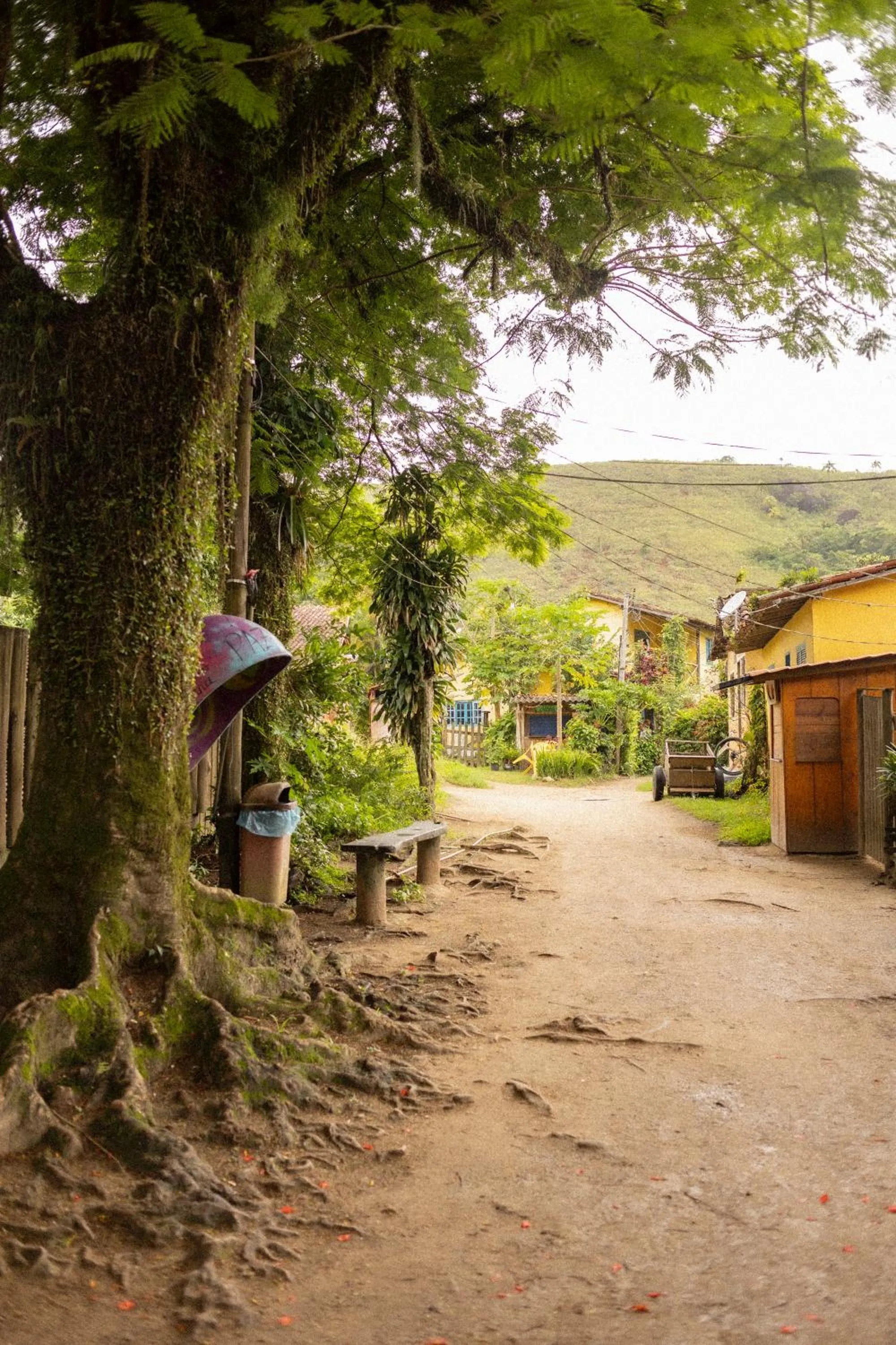 Natural landscape in Sambaqui Hostel