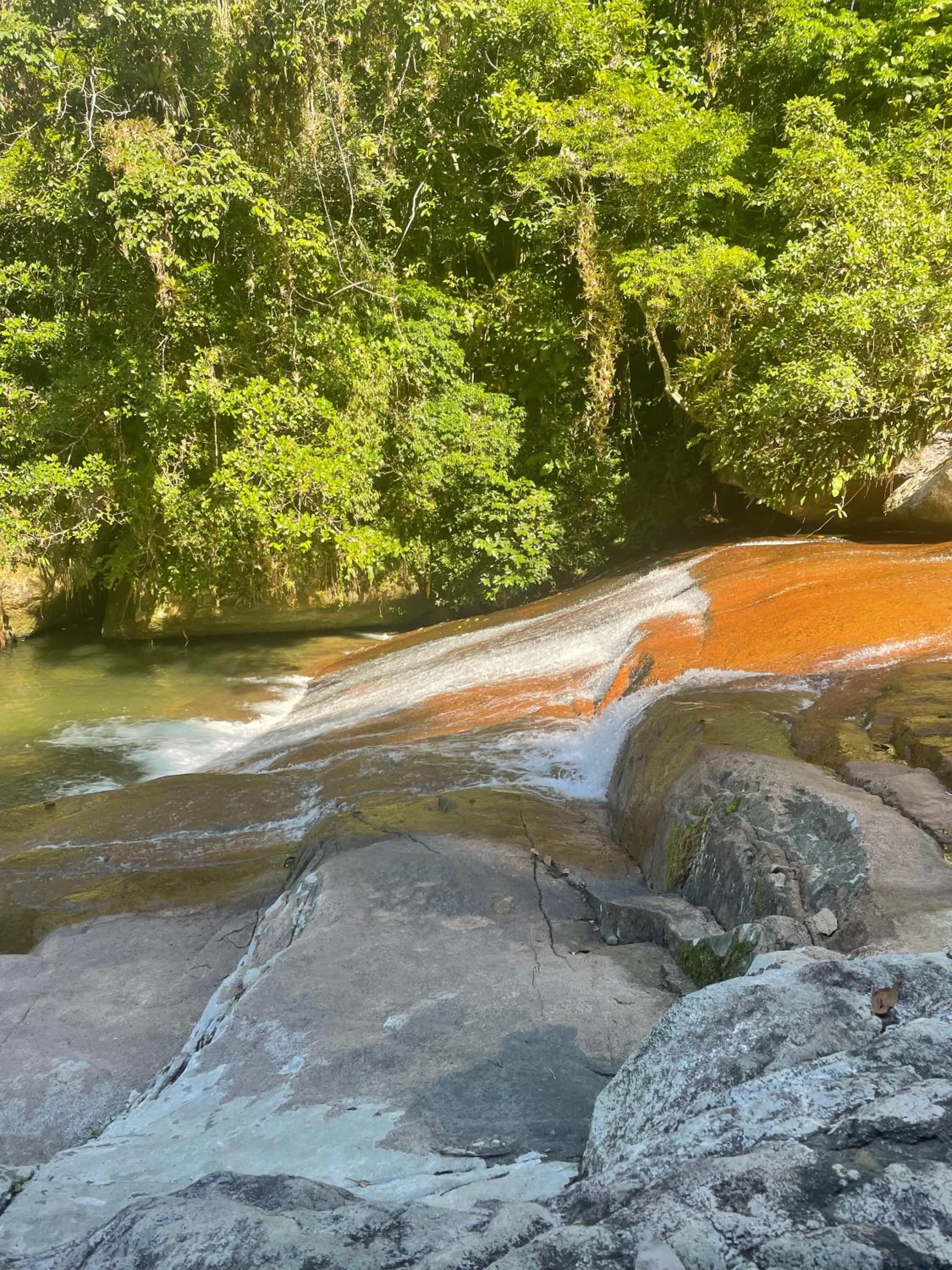 Natural landscape in Sambaqui Hostel
