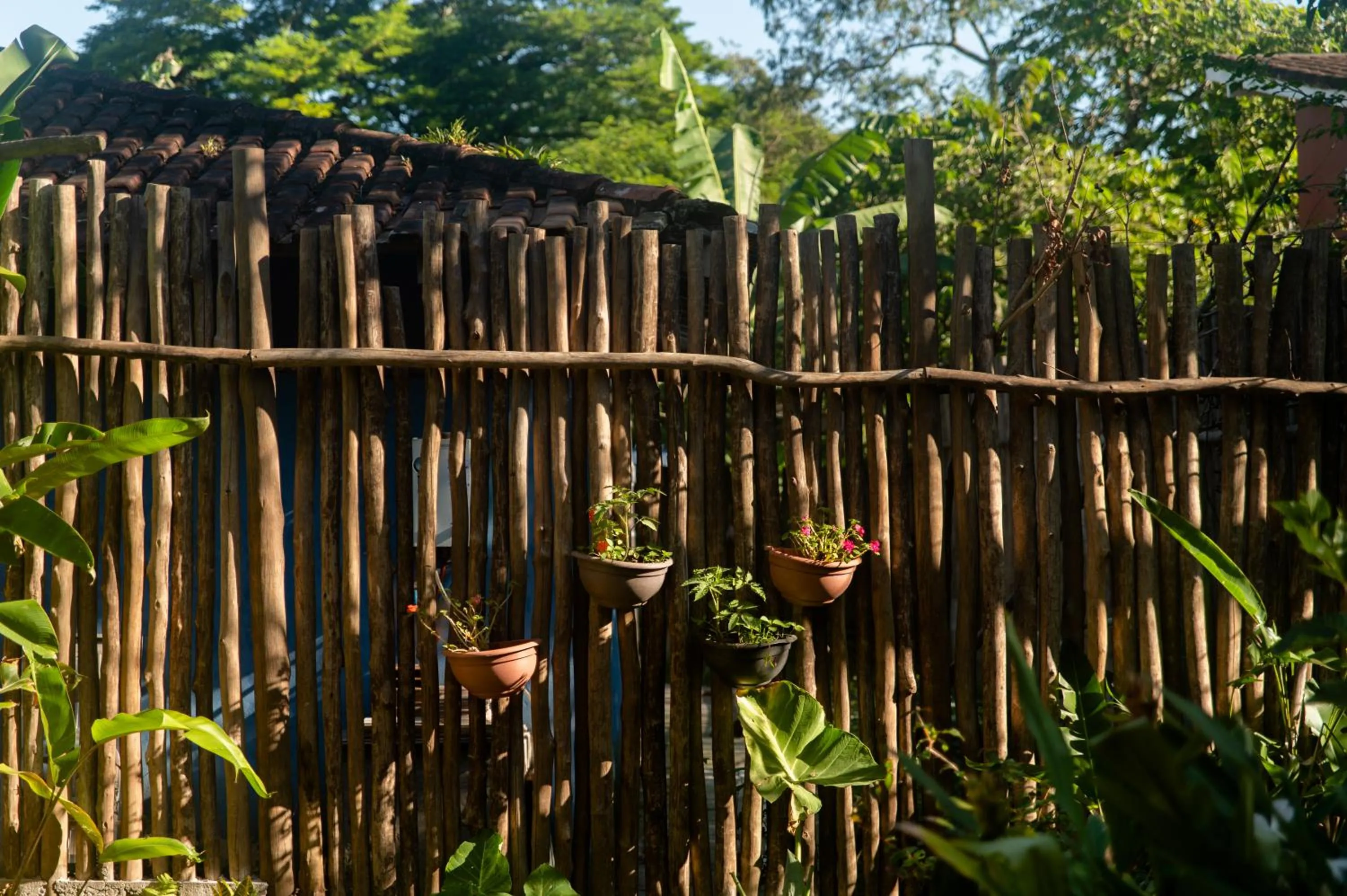 Garden view in Sambaqui Hostel