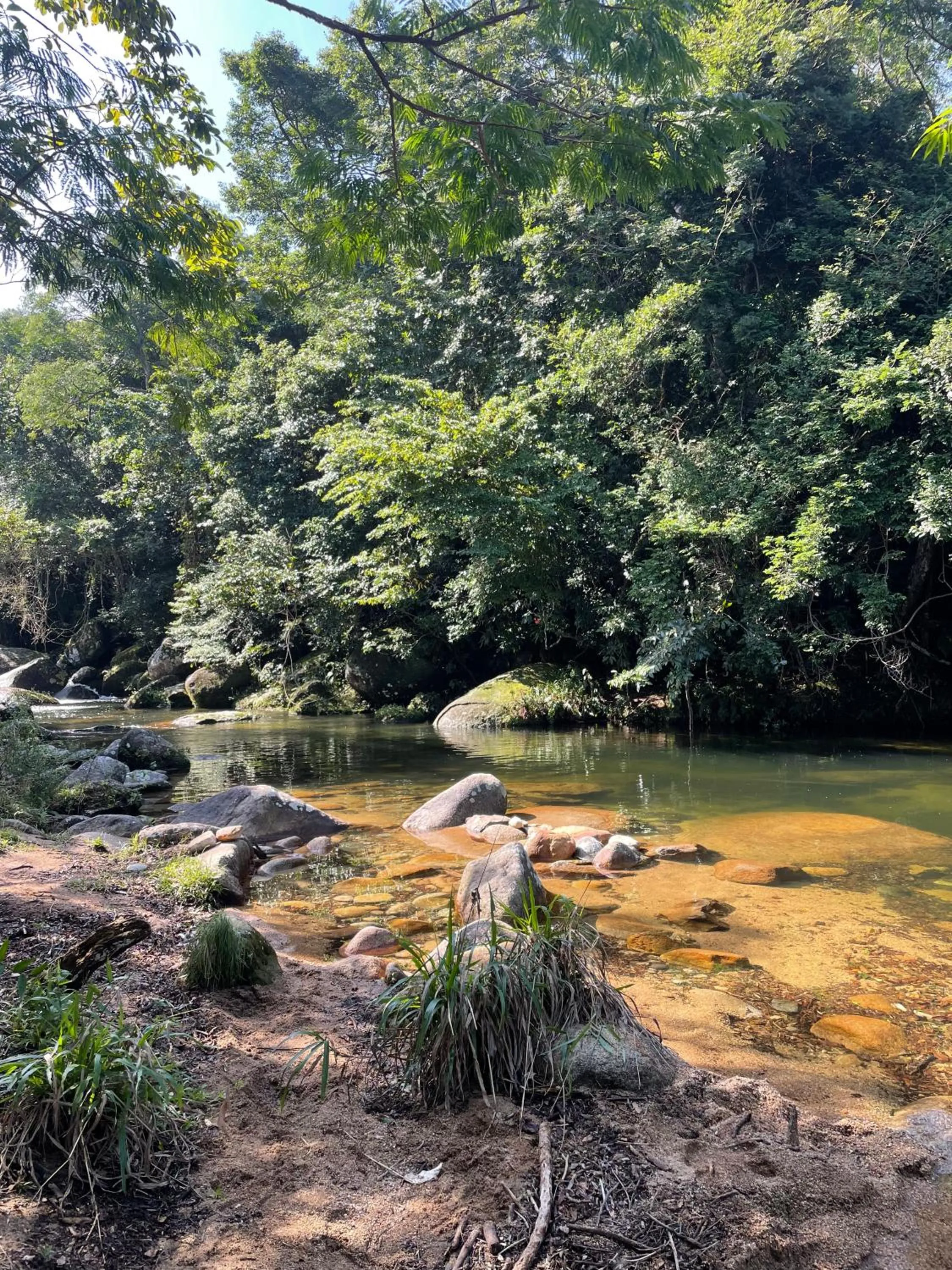 Natural landscape in Sambaqui Hostel