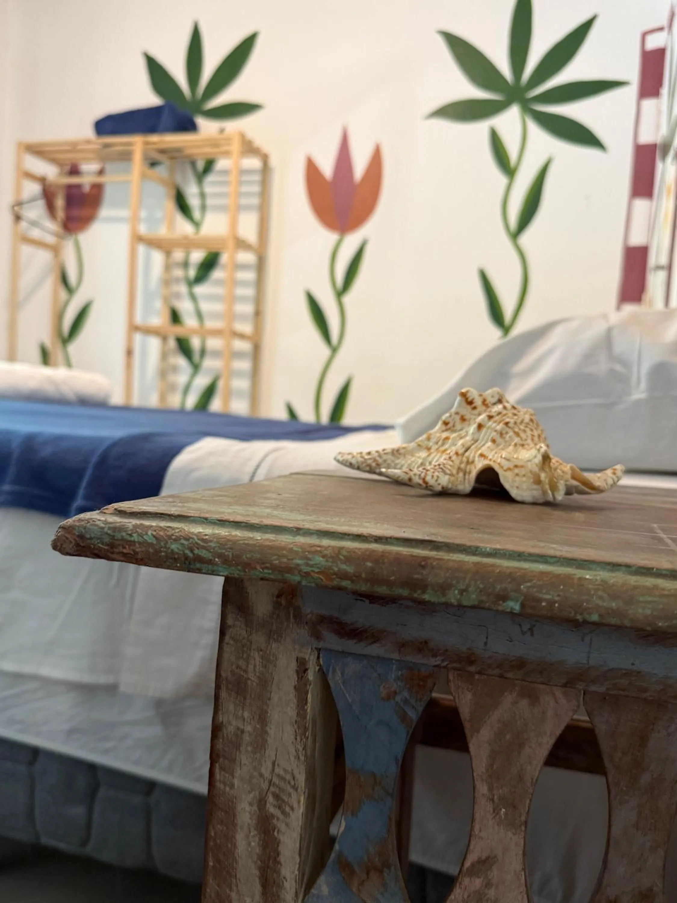 Photo of the whole room, Bed in Sambaqui Hostel
