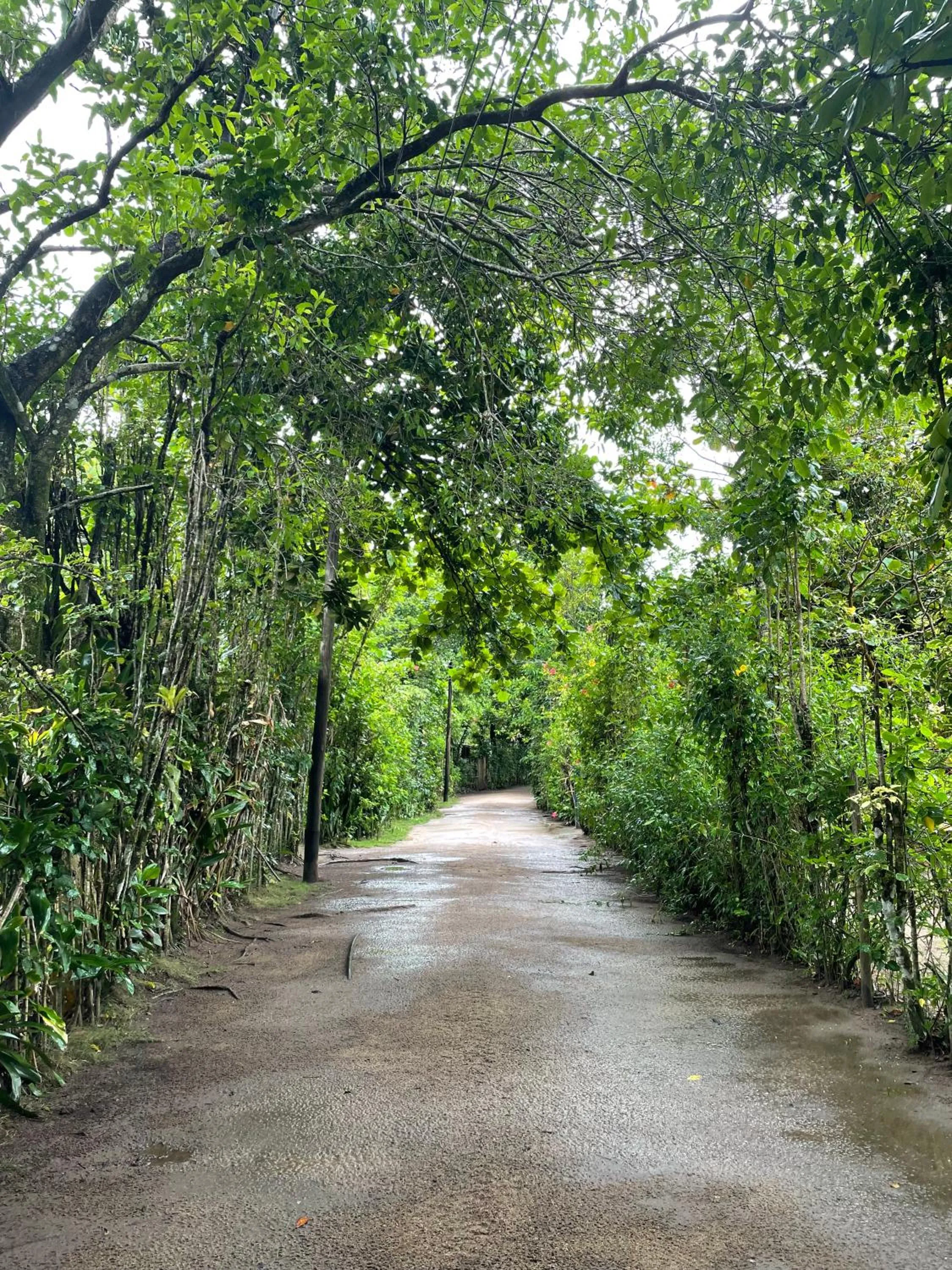 Natural landscape in Sambaqui Hostel