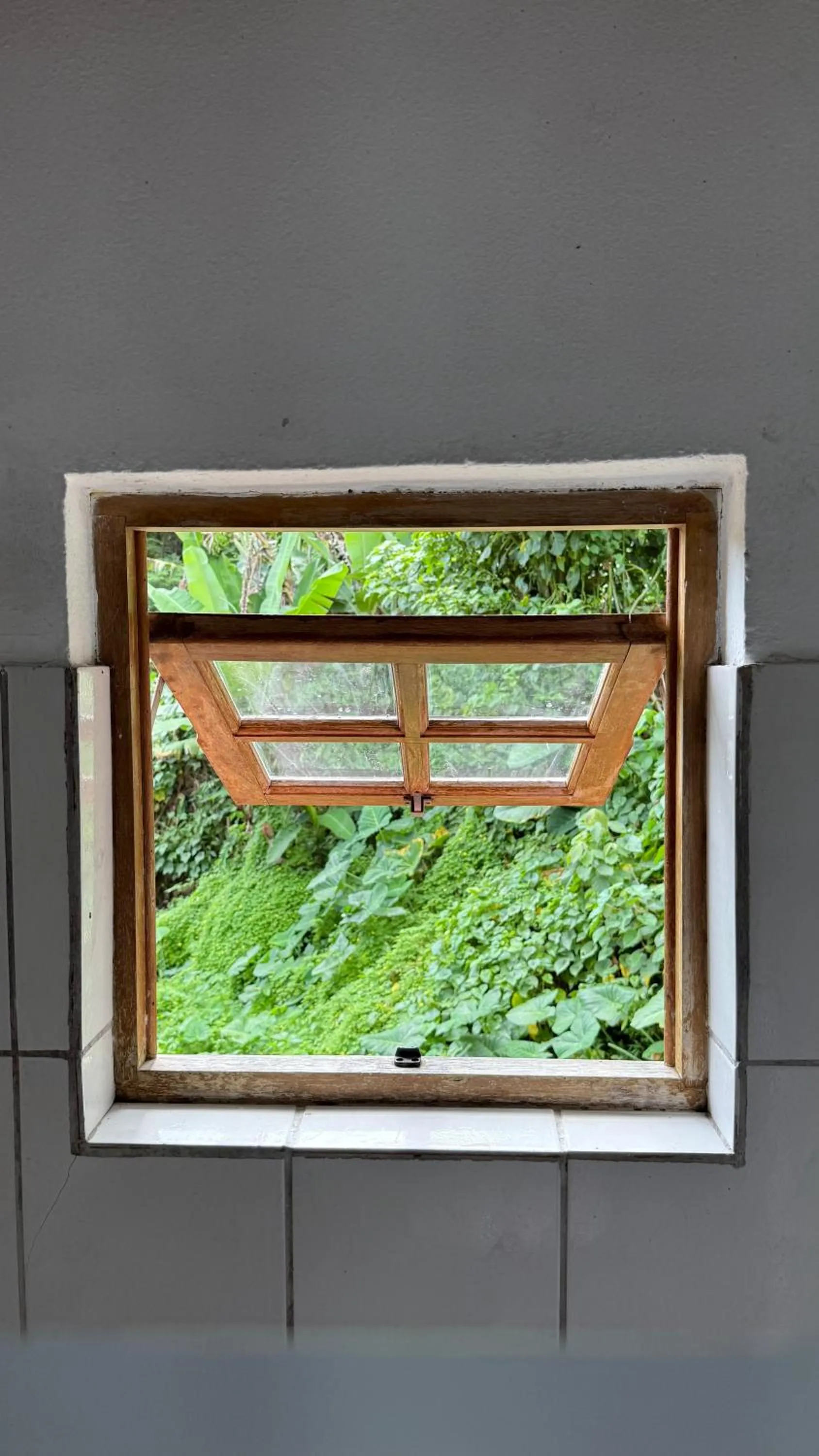 Bathroom in Sambaqui Hostel