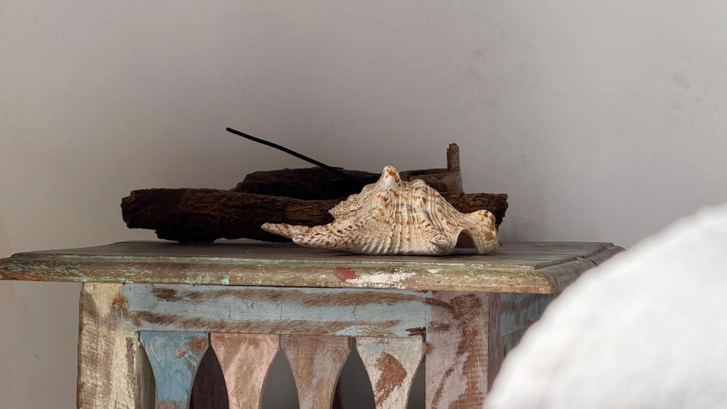 Decorative detail in Sambaqui Hostel