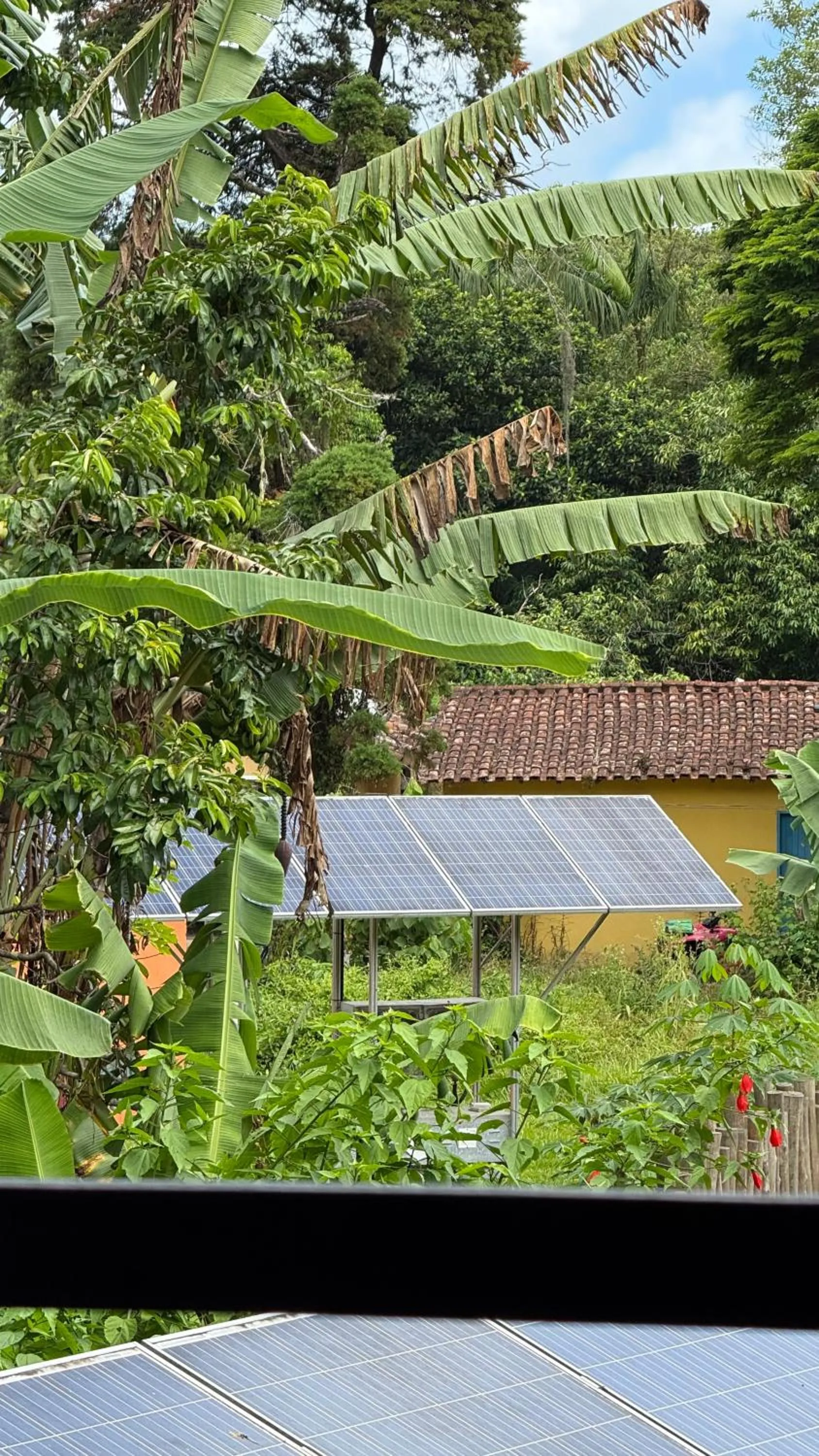 Natural landscape in Sambaqui Hostel