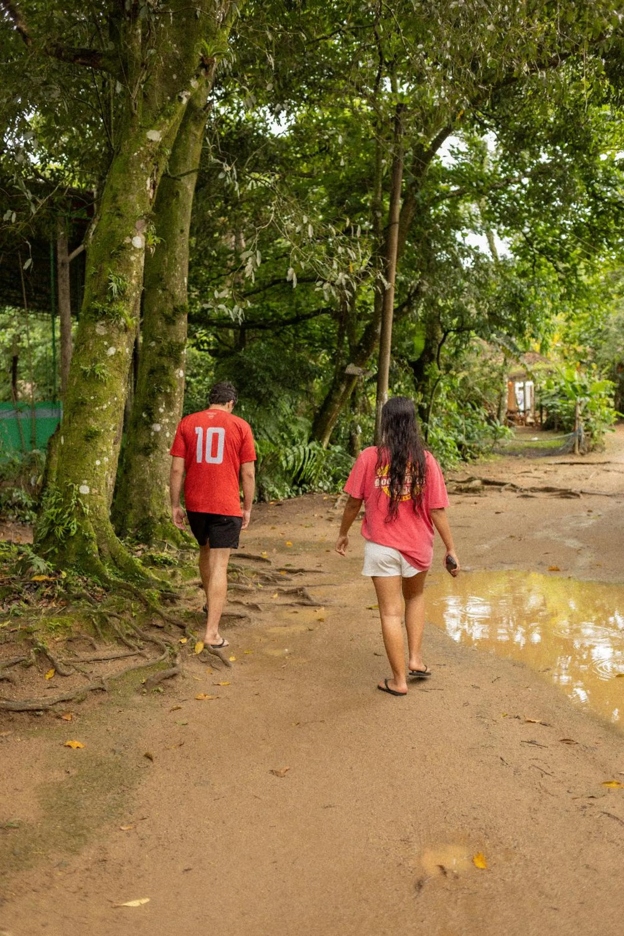 Natural landscape in Sambaqui Hostel