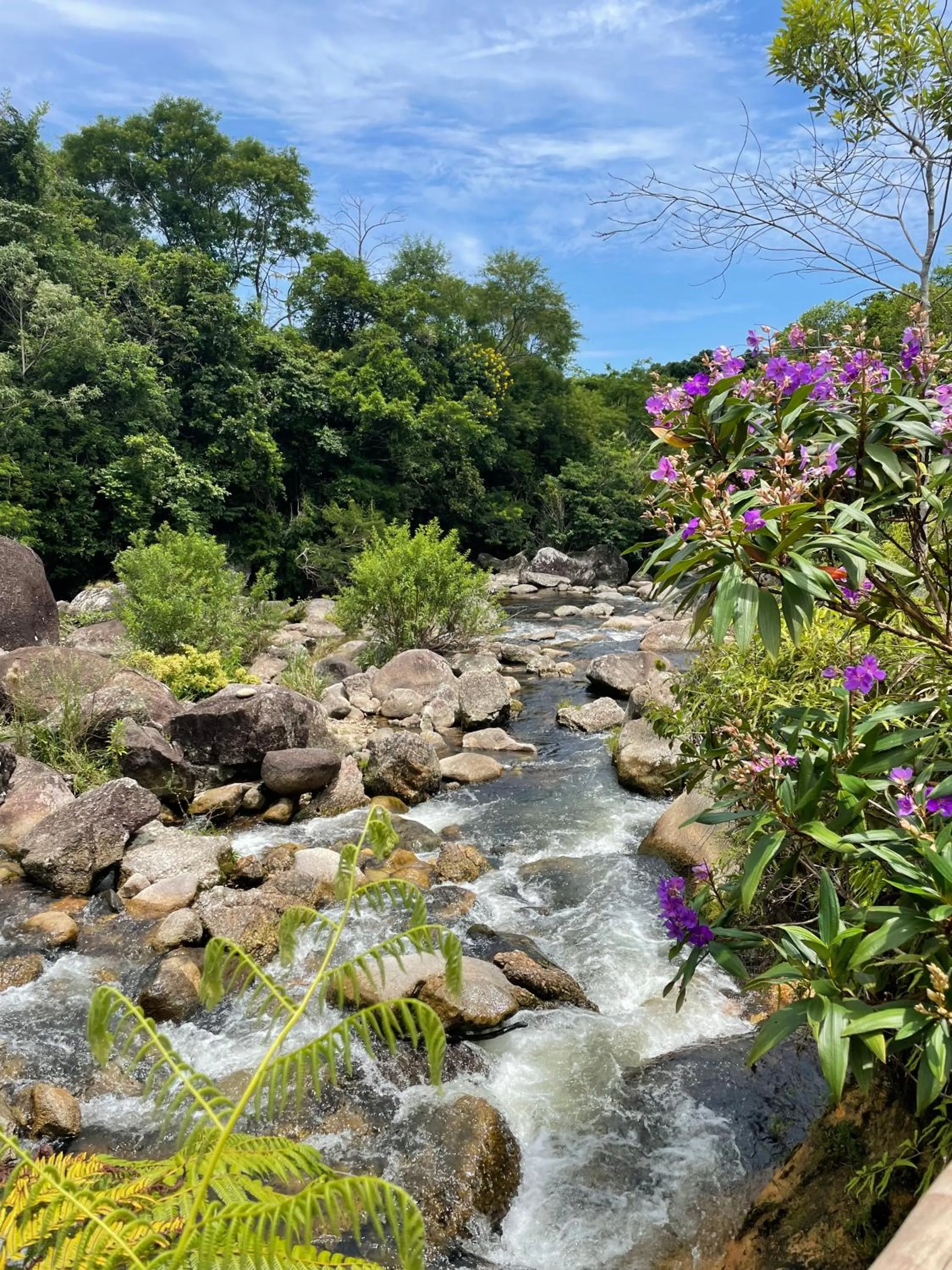 Natural landscape in Sambaqui Hostel
