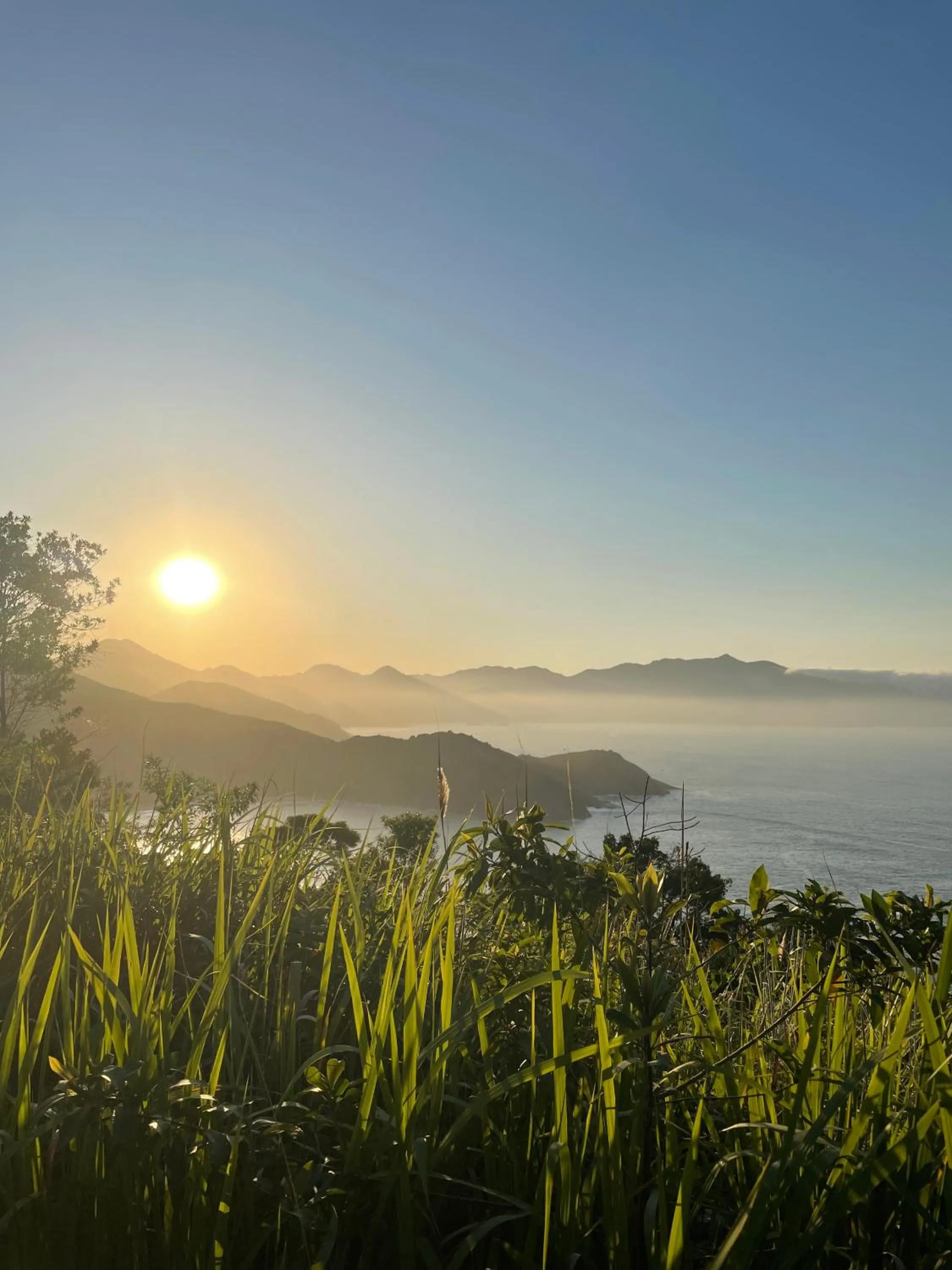 Natural landscape in Sambaqui Hostel