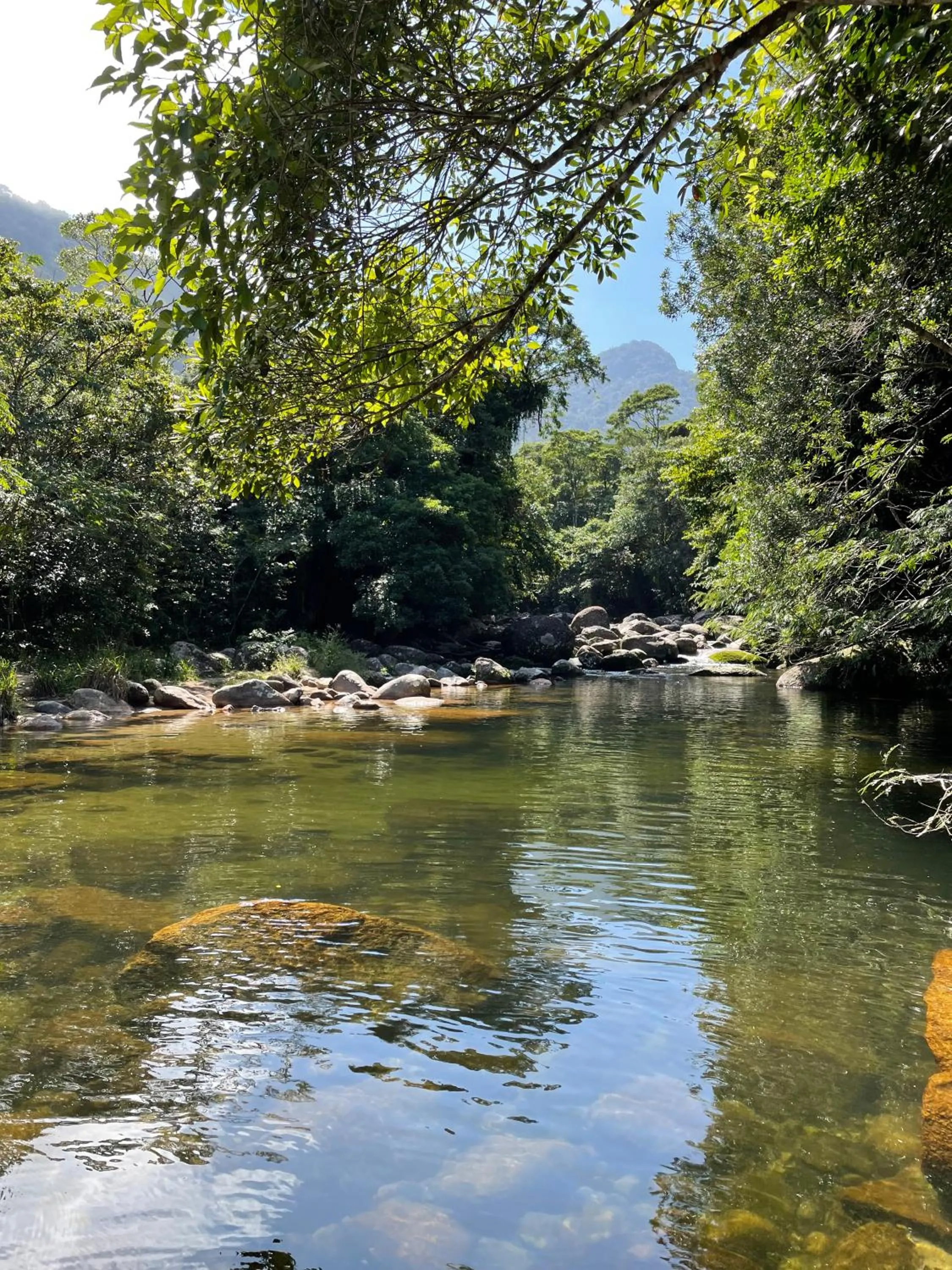 Natural landscape in Sambaqui Hostel