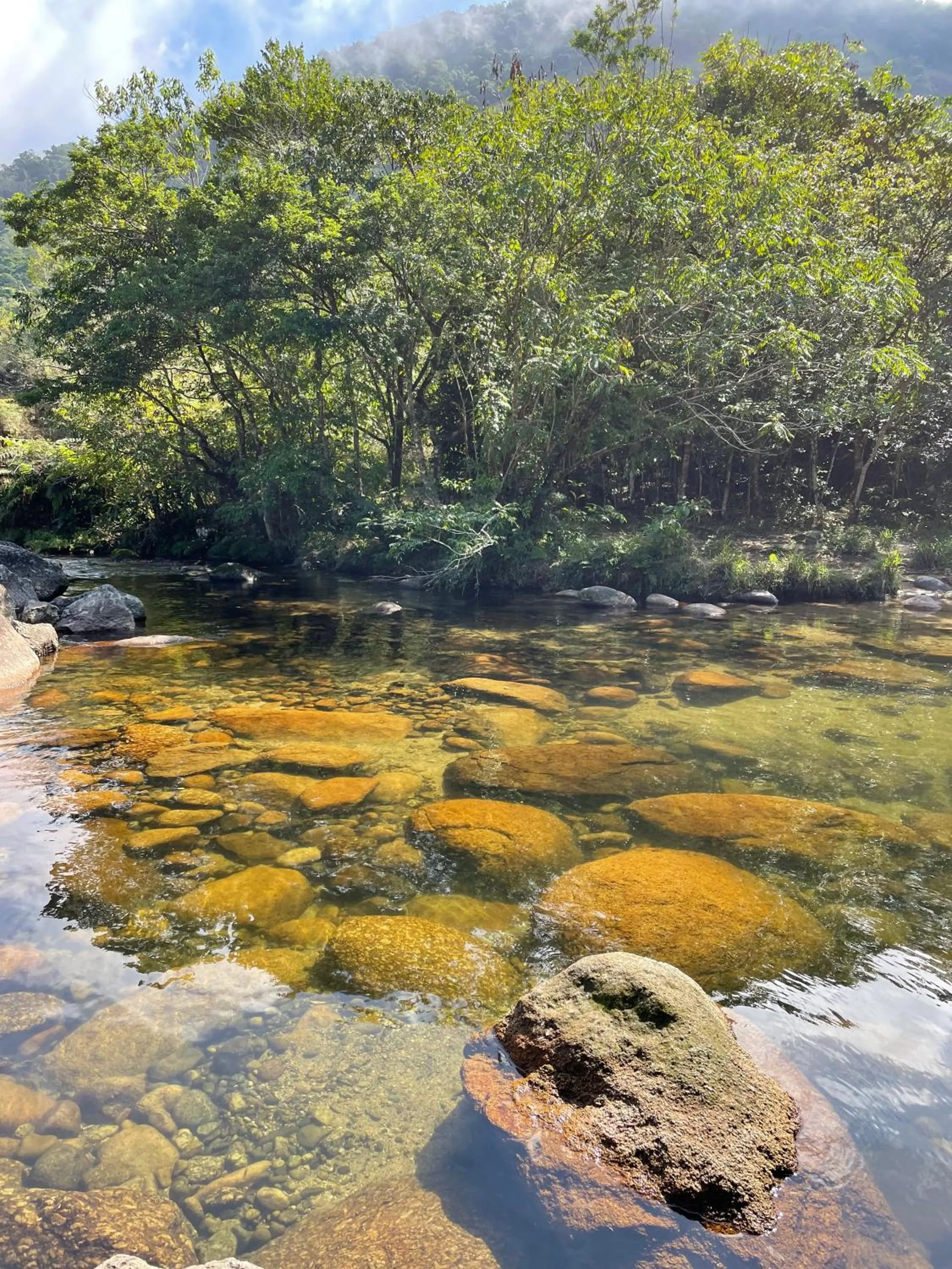 Natural landscape in Sambaqui Hostel