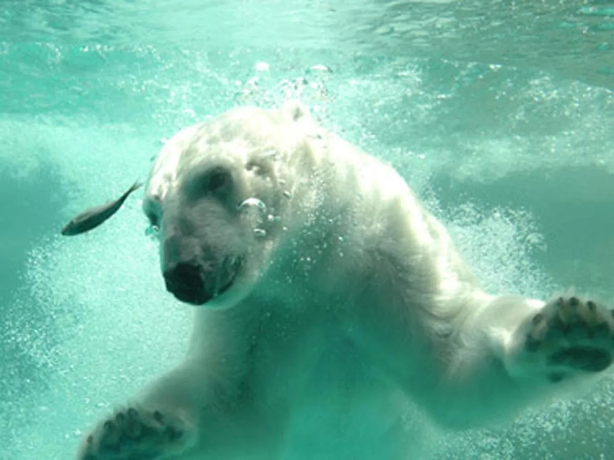 Hotel Arc Riche Toyohashi