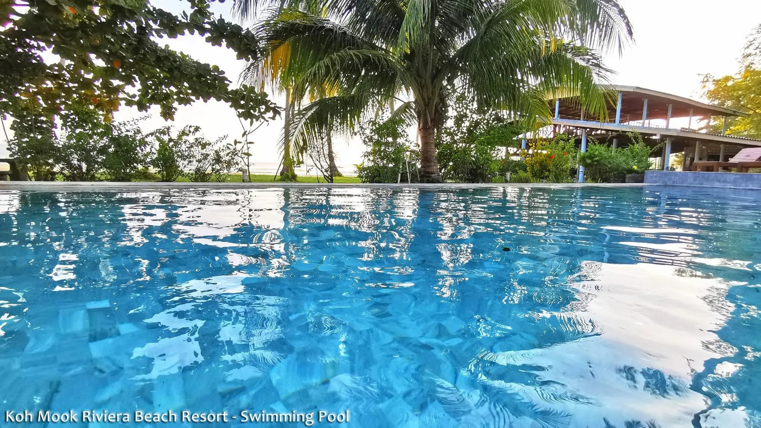 Swimming pool in Koh Mook Riviera Beach Resort Swimming pool in Koh Mook Riviera Beach Resort