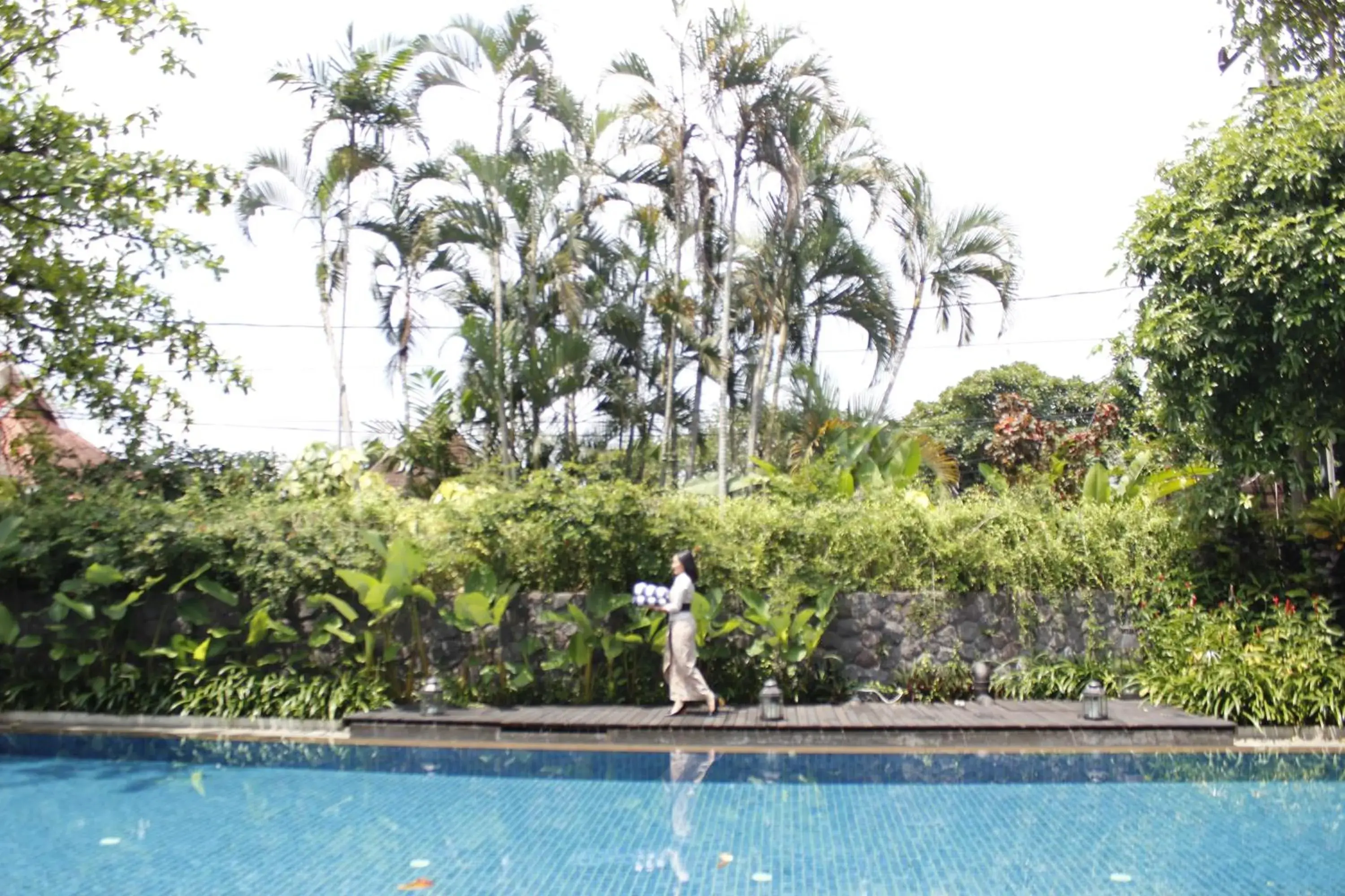 Swimming pool in The Shalimar Boutique Hotel Swimming pool in The Shalimar Boutique Hotel
