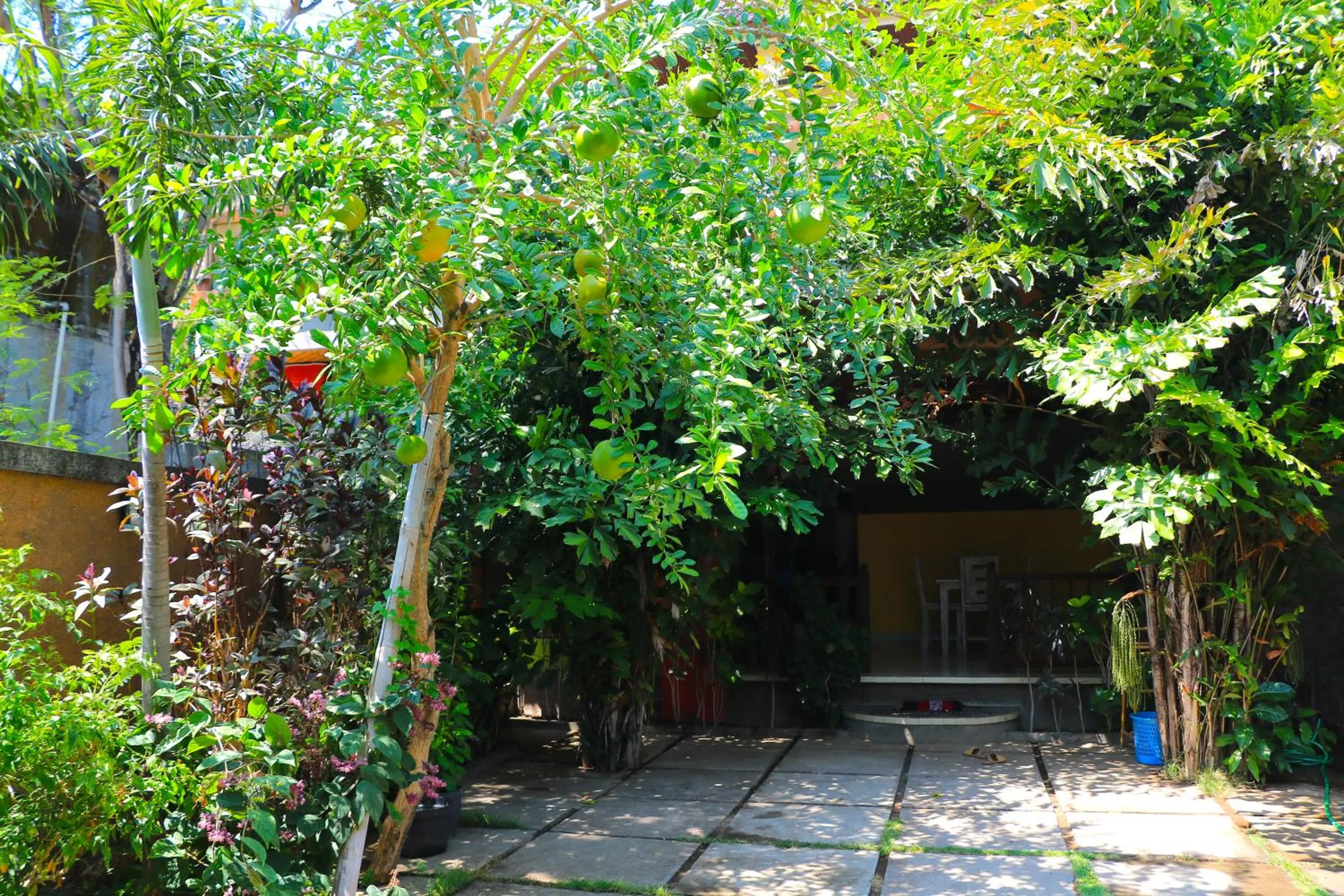 Patio in Rumah Wayans Lipah