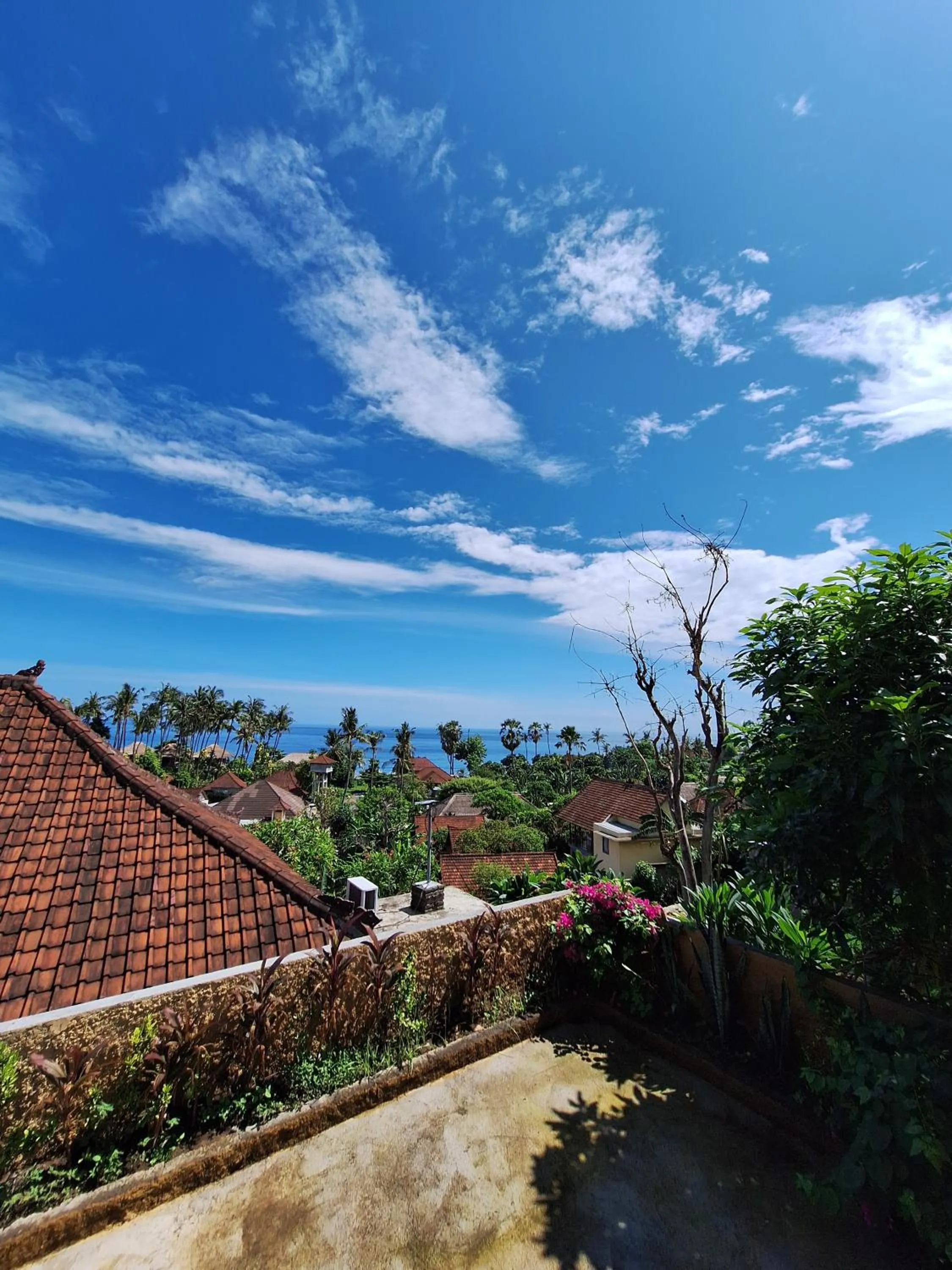 Natural landscape in Rumah Wayans Lipah