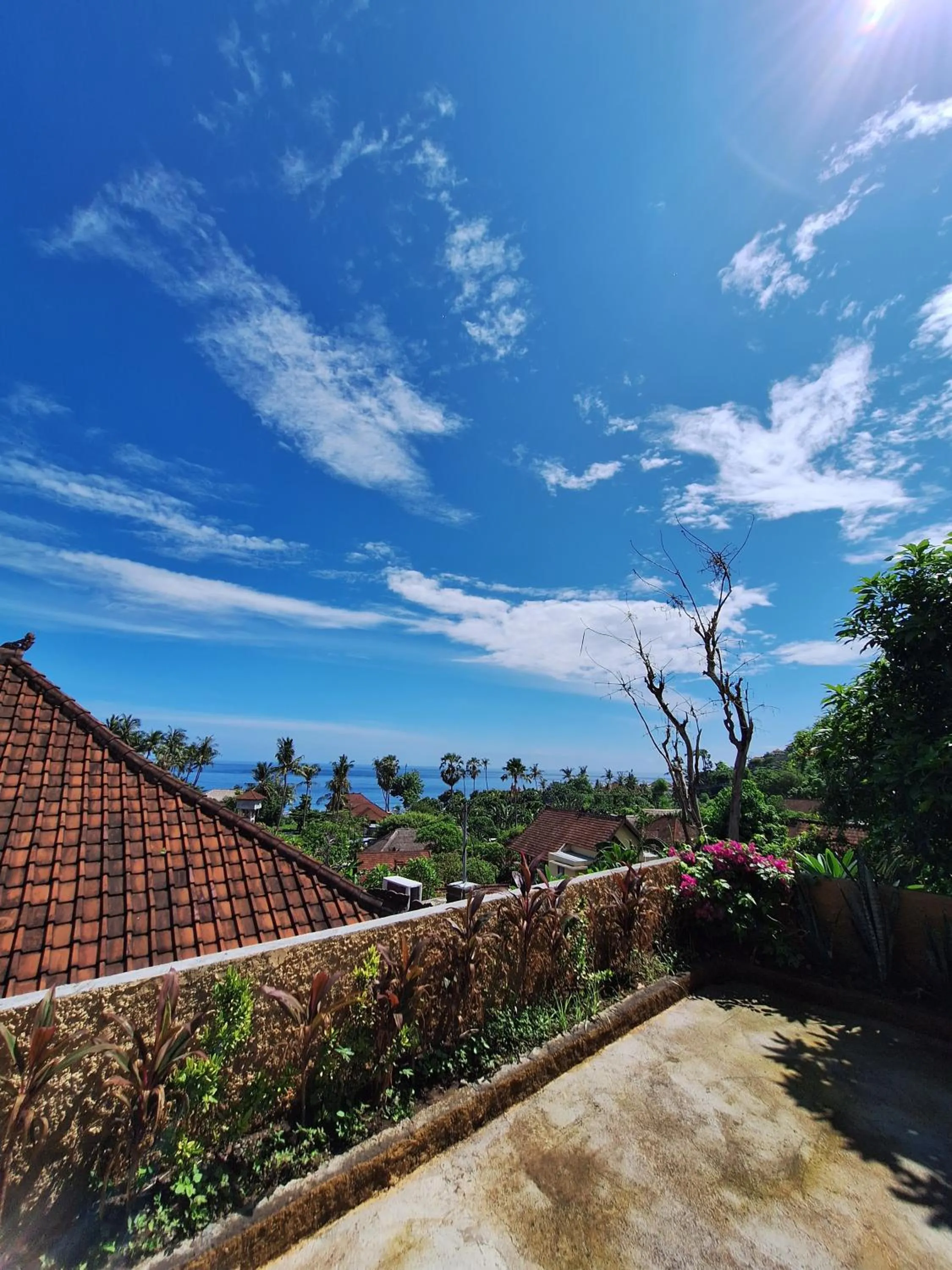 Natural landscape in Rumah Wayans Lipah