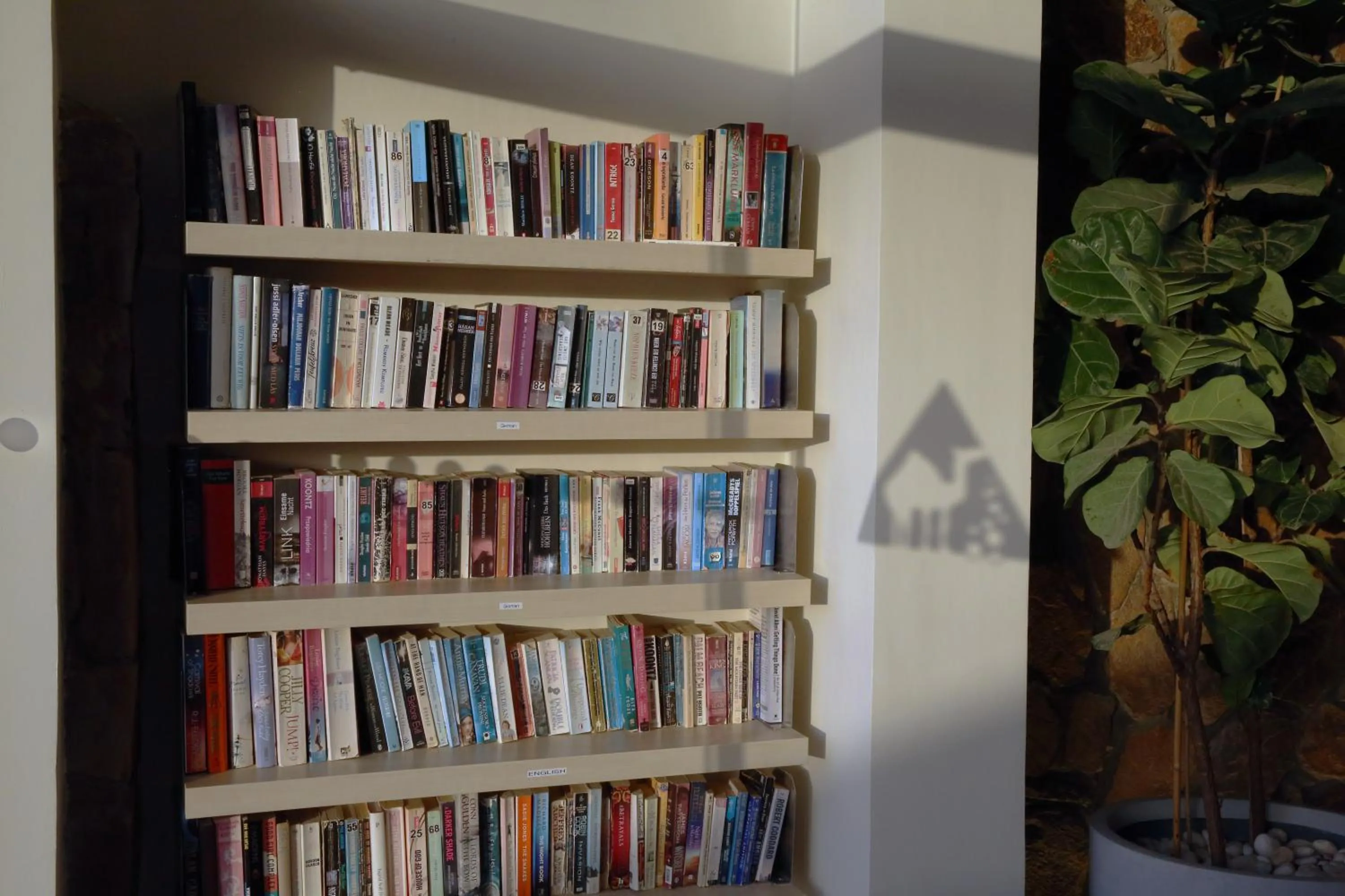 Library in Camel Dive Club & Boutique Hotel