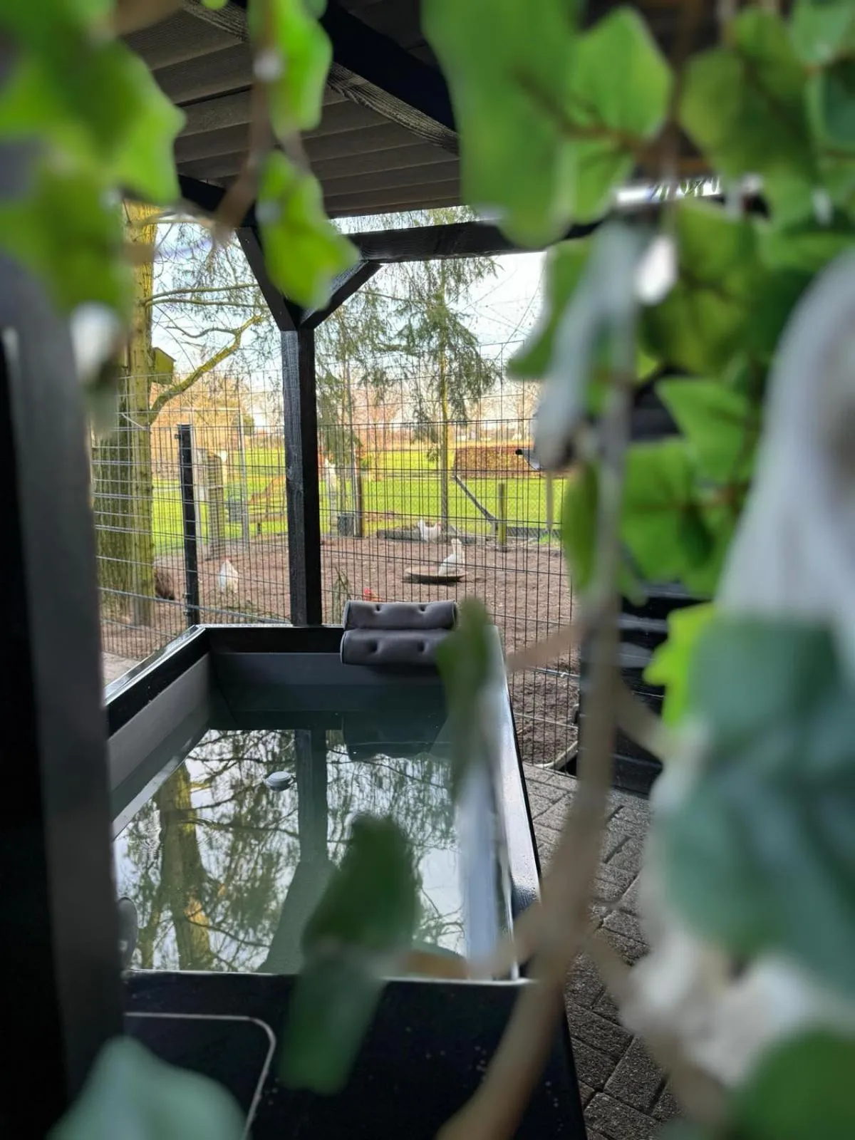 Hot Tub in De Rolders