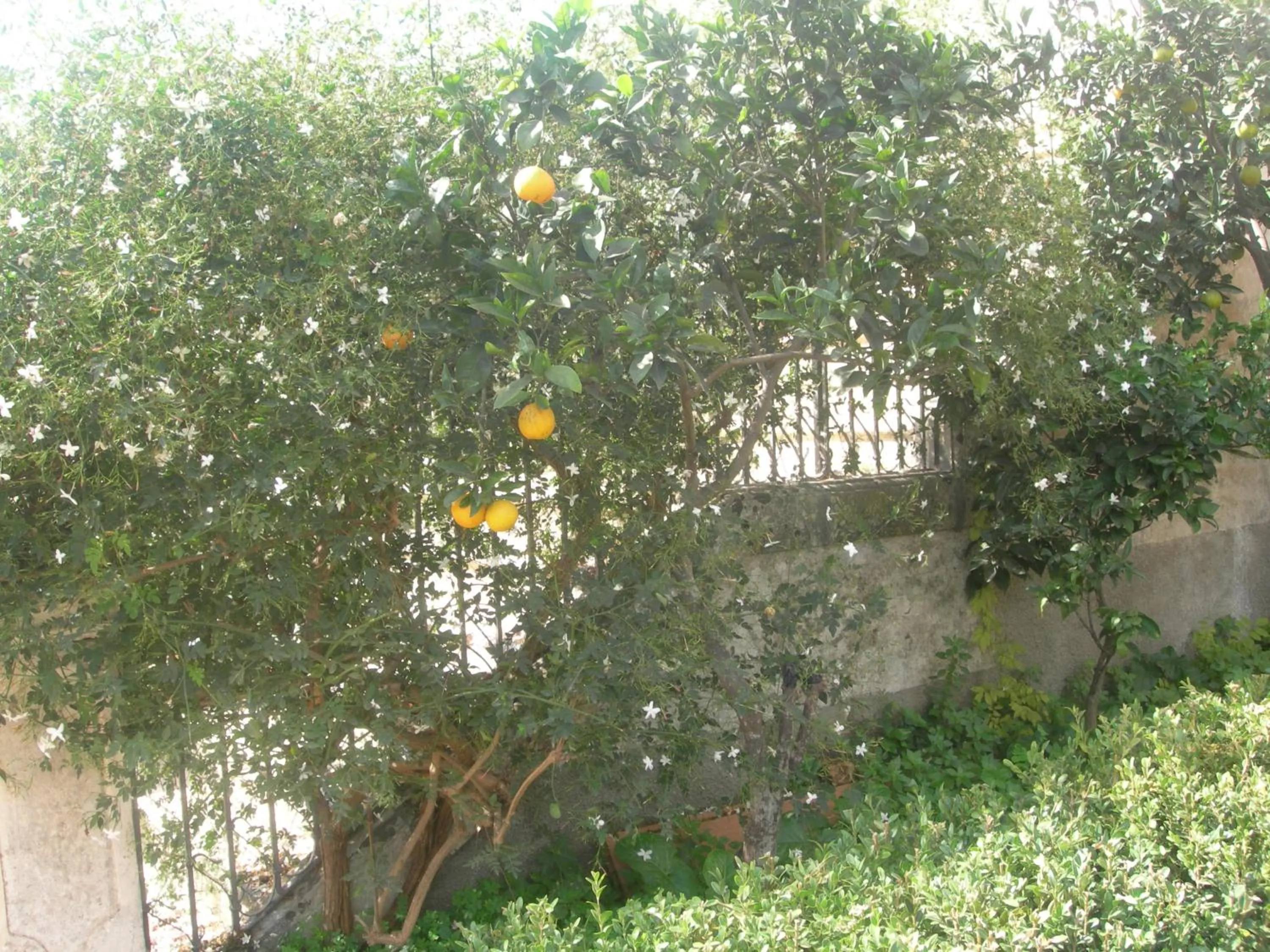 Facade/entrance in Modica Garden Resort