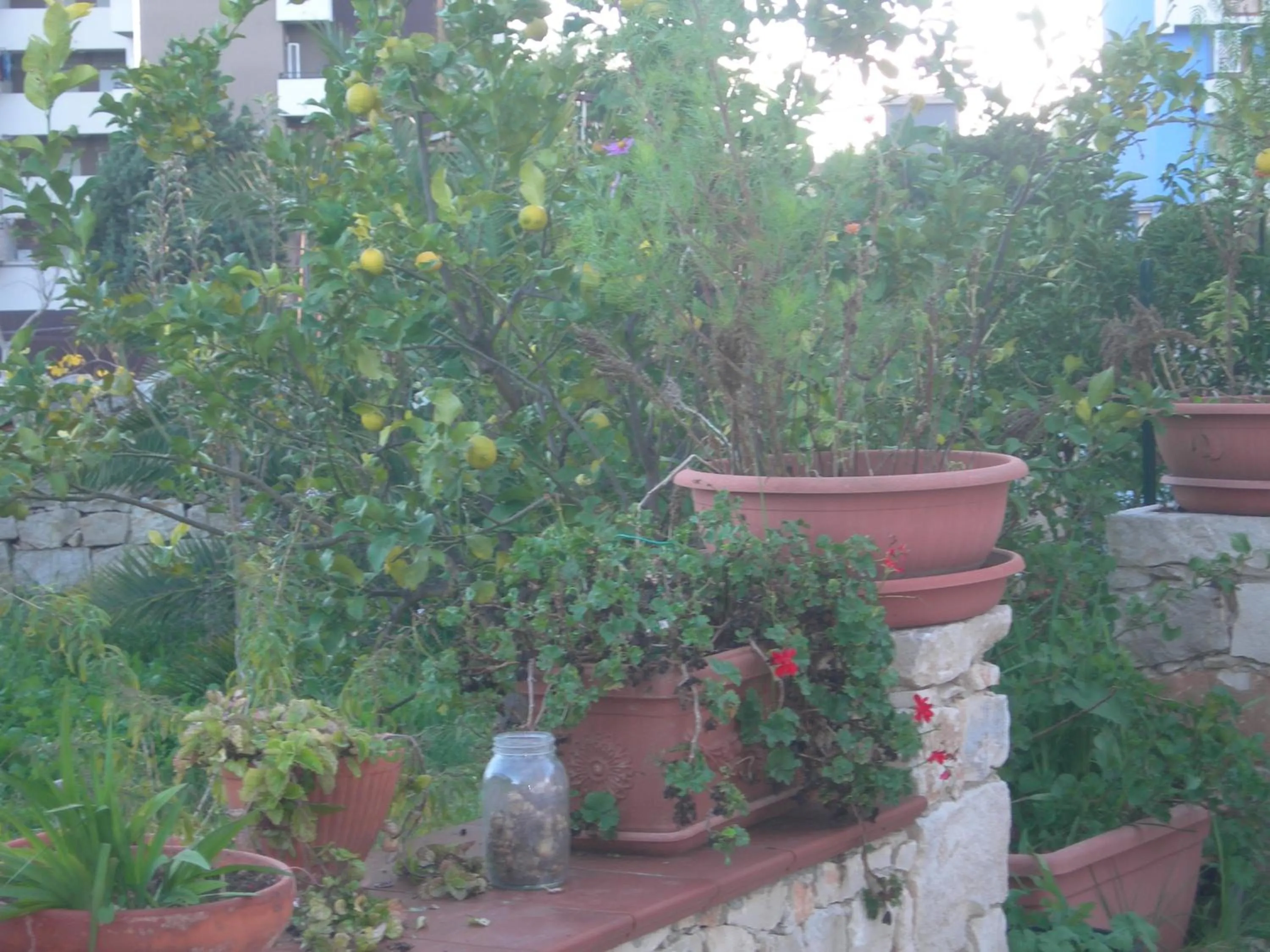 Garden in Modica Garden Resort